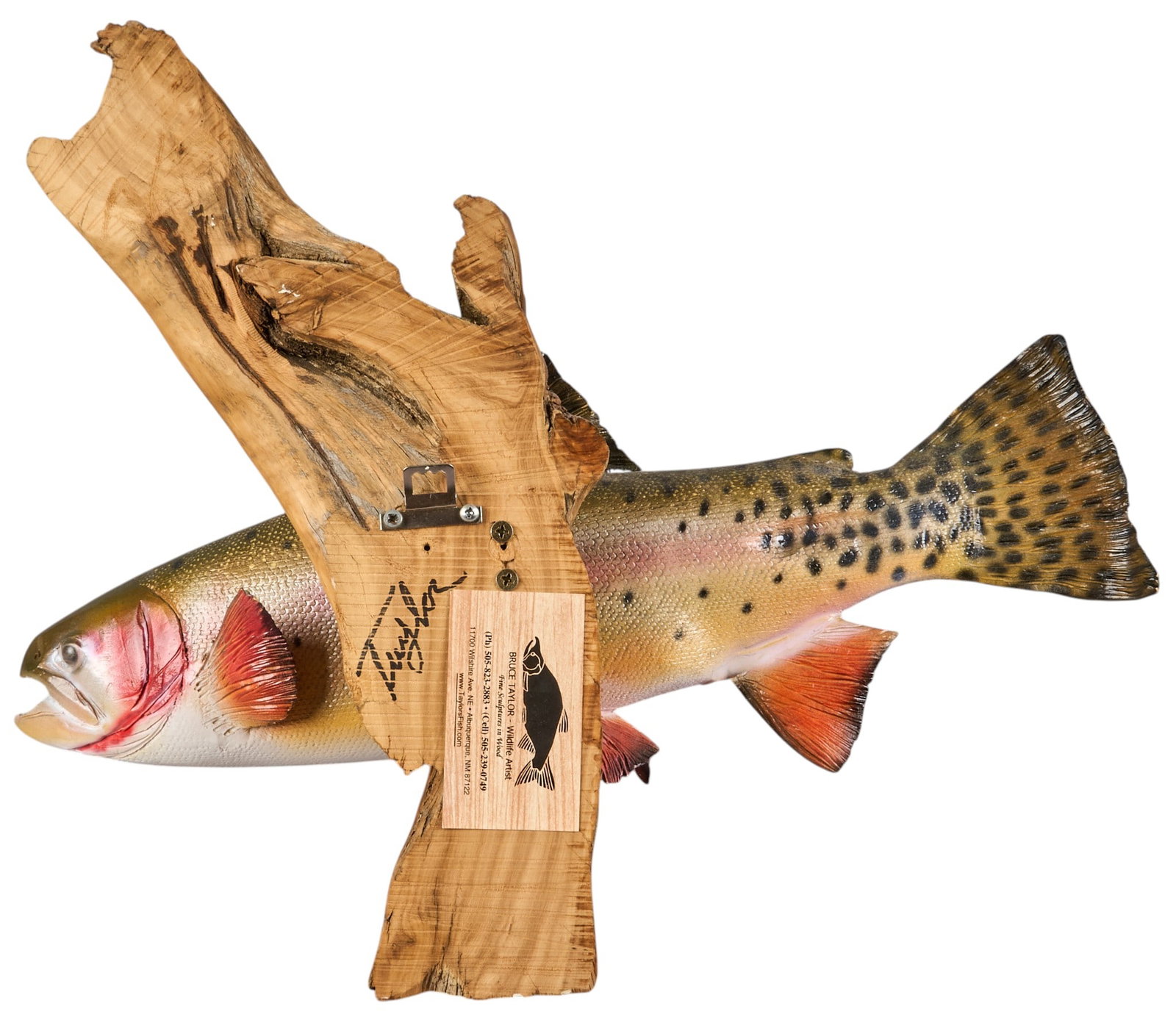 (4) Fish Wall Mounts - 7