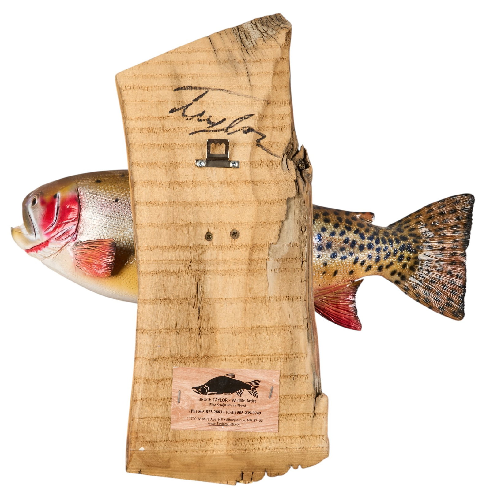 (4) Fish Wall Mounts - 8