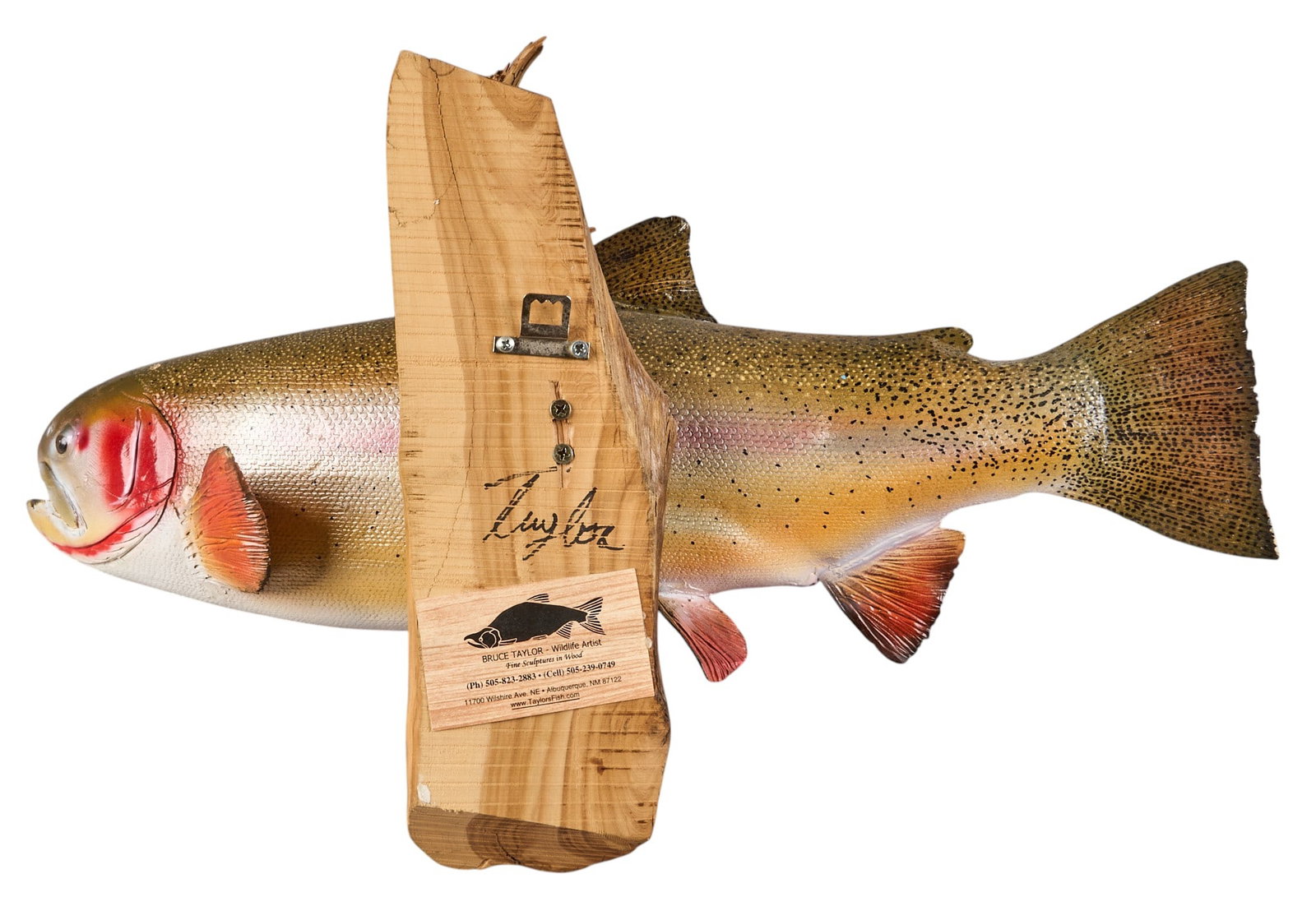(4) Fish Wall Mounts - 9
