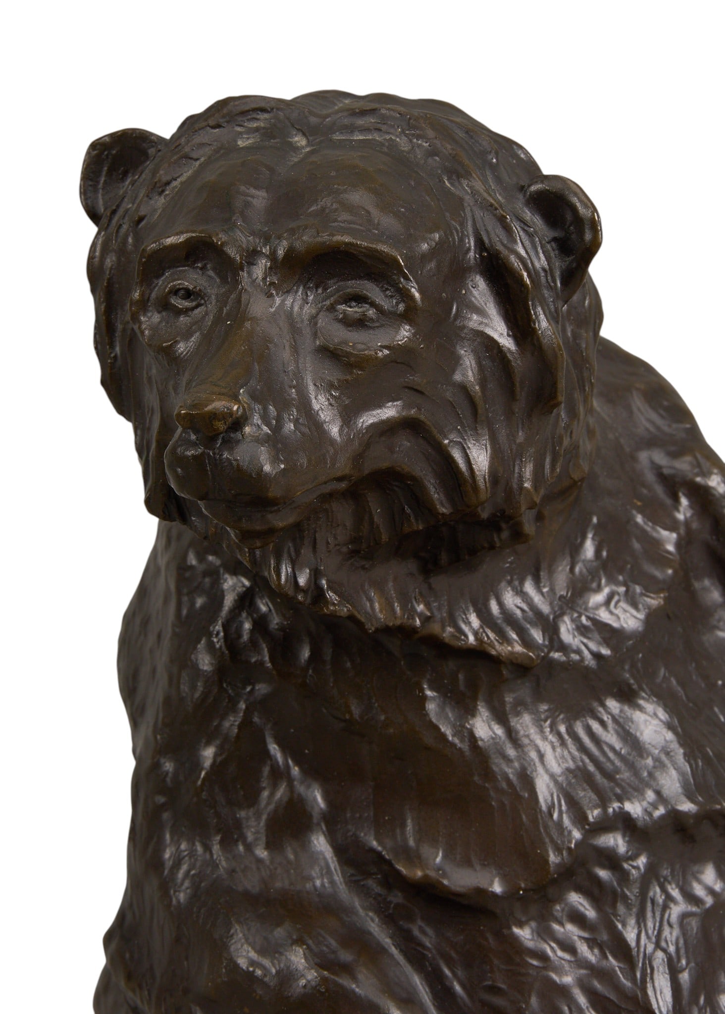 Michael McLaughlin, Sitting Bear - 3