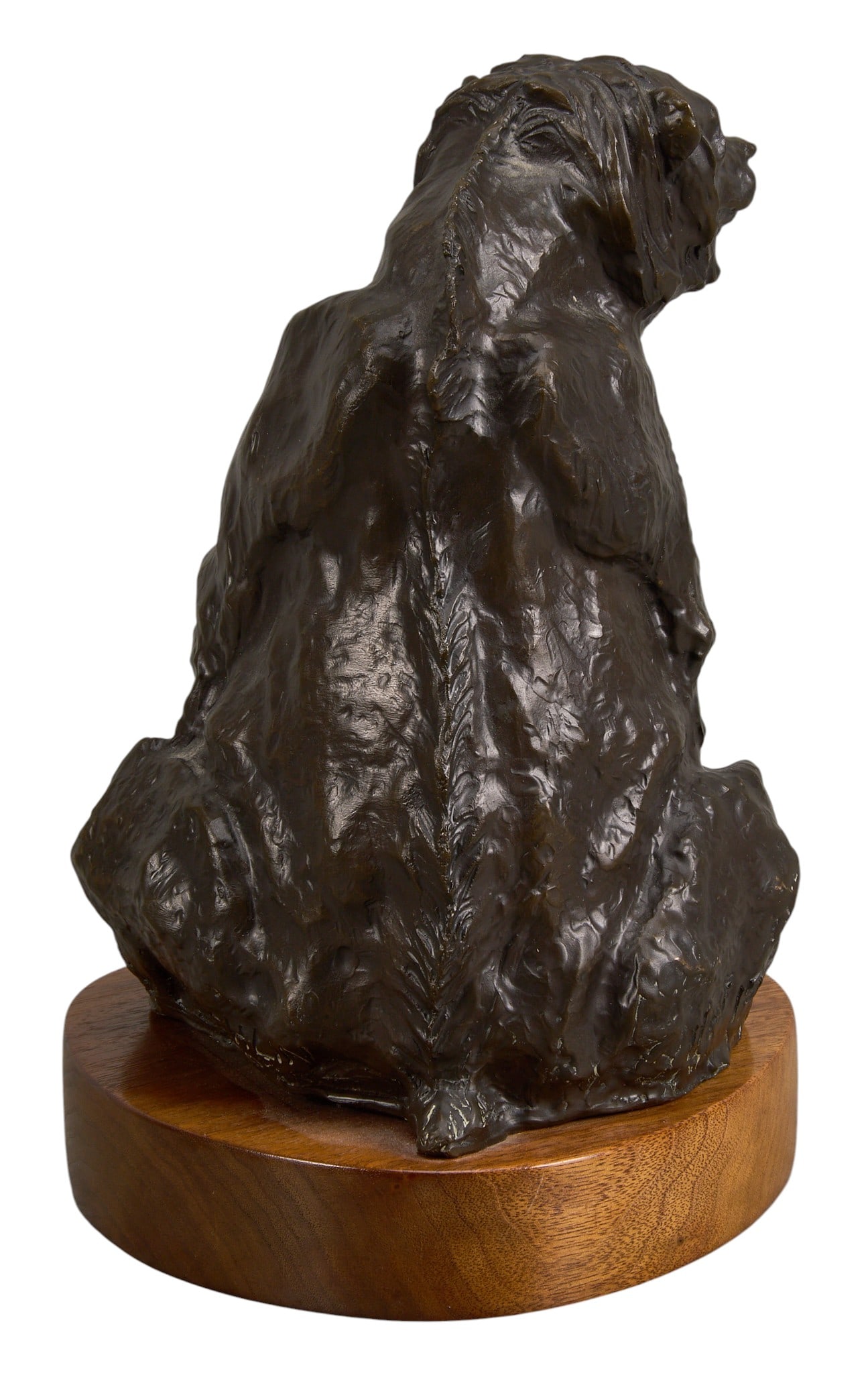 Michael McLaughlin, Sitting Bear - 4