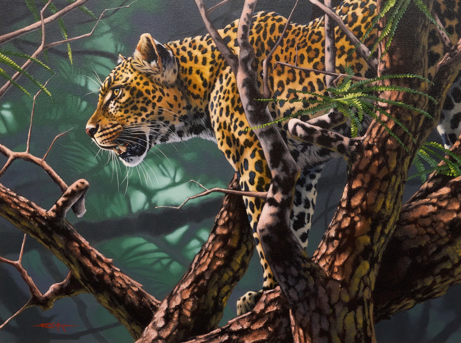 Fuz Caforio, Jaguar in Trees: Fuz Caforio (South Africa, b. 20th C.), jaguar in trees, acrylic on panel, signed lower left sight: 30 x 40 in., frame: 36.5 x 46.5 in. Provenance: Property from the Estate of Robert A.