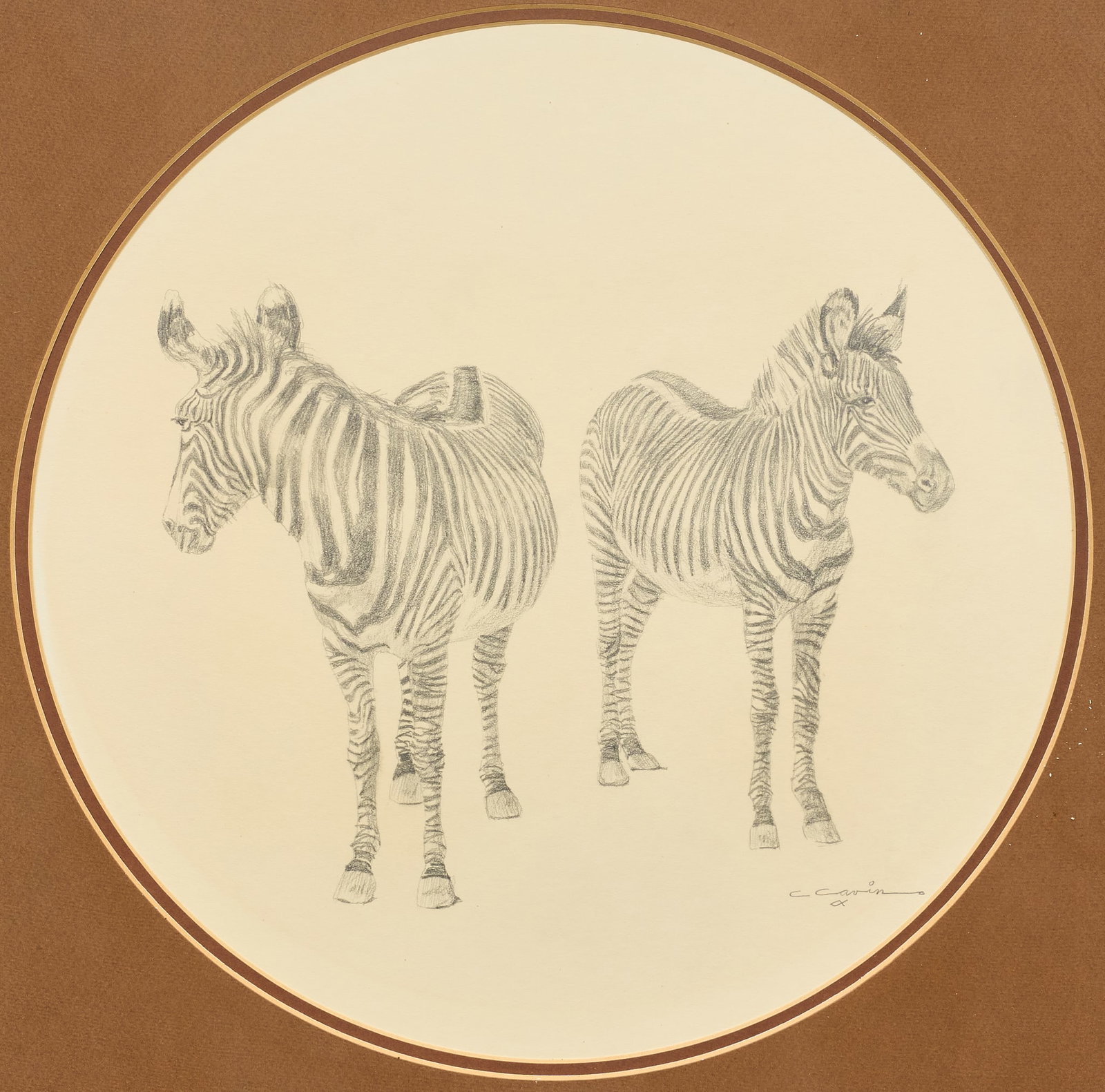 Cliff Cavin, Two Zebras: Cliff Cavin (Texas, 20th-21st C.), two zebras, pencil on paper, signed lower right sight: 16 x 16 in., frame: 23 x 23 in. Provenance: The estate of prominent Austin, Texas attorney George Cowden 