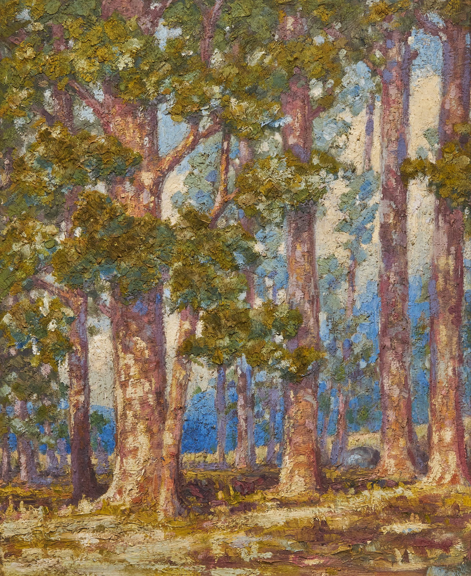 Attrib. Dorothy Warren, Forest Scene: Attributed to Dorothy Warren, American Impressionist style forest scene, oil on panel, with pencil inscription on the verso reading "Dorothy Warren"; circa first half of the 20th century