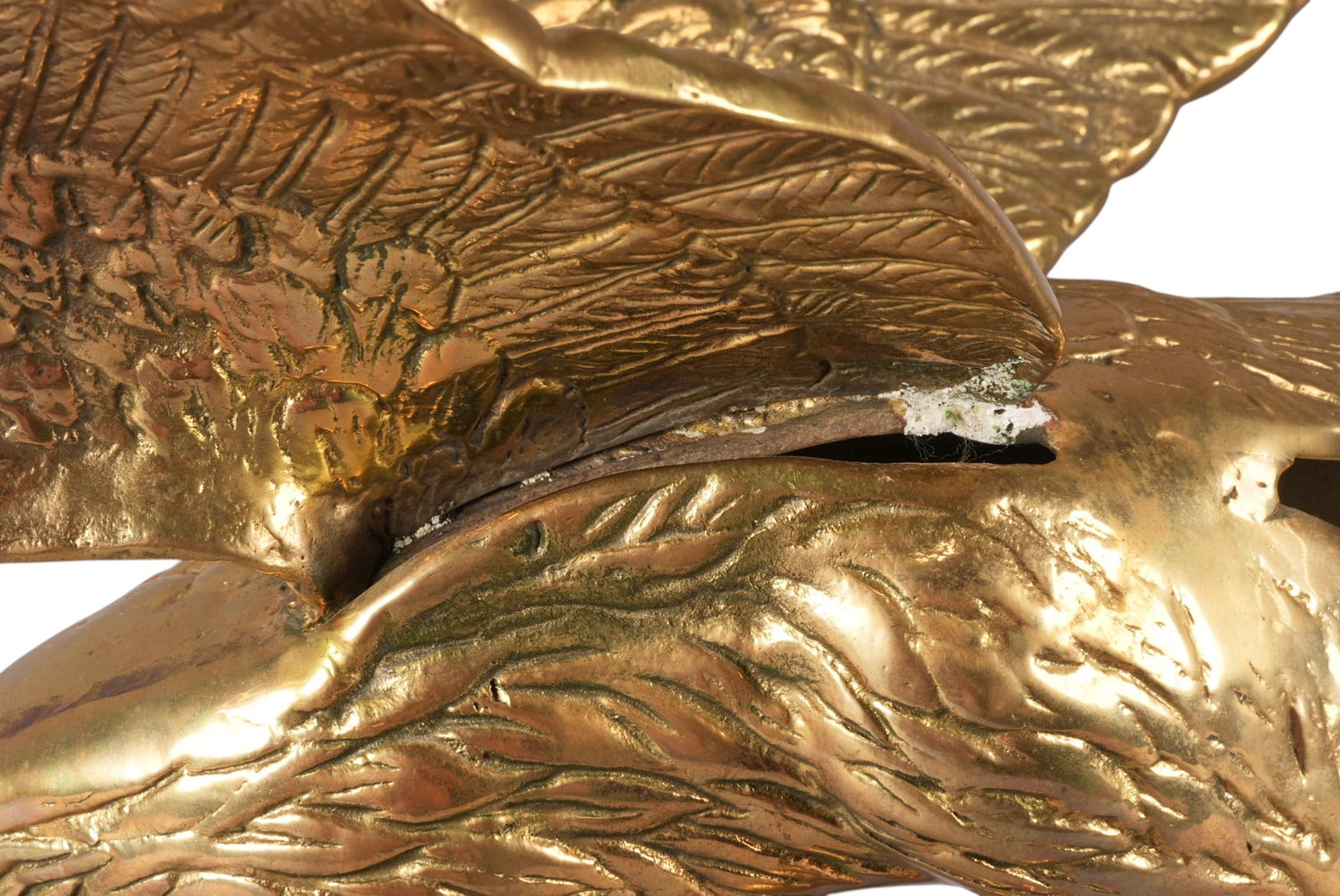 Brass Eagle - 4