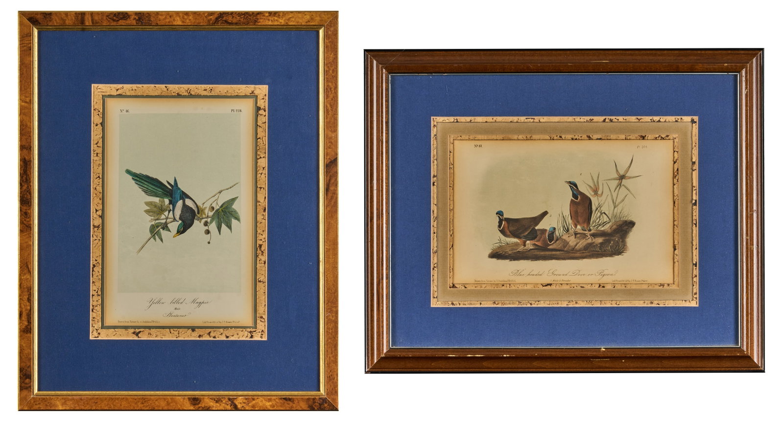 J. J. Audubon, (2) Hand-Colored Lithographs (1 of 10)