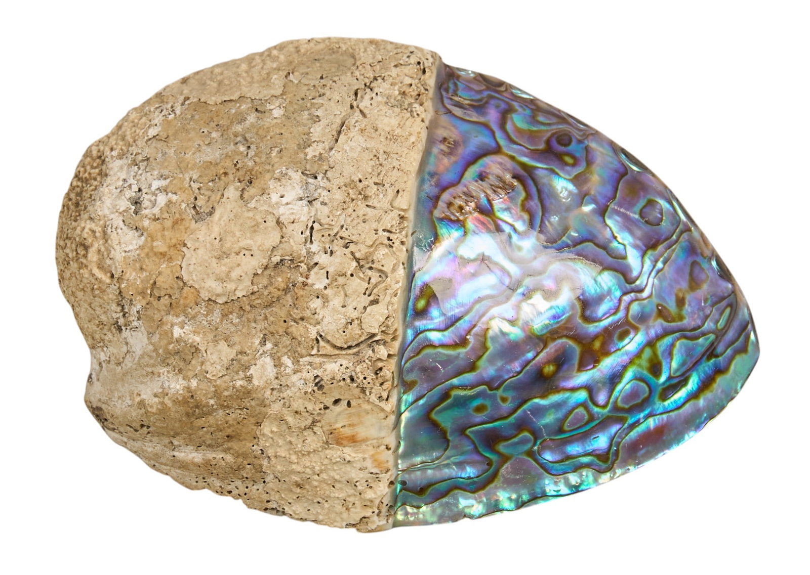 Blue Agate Collection - 4