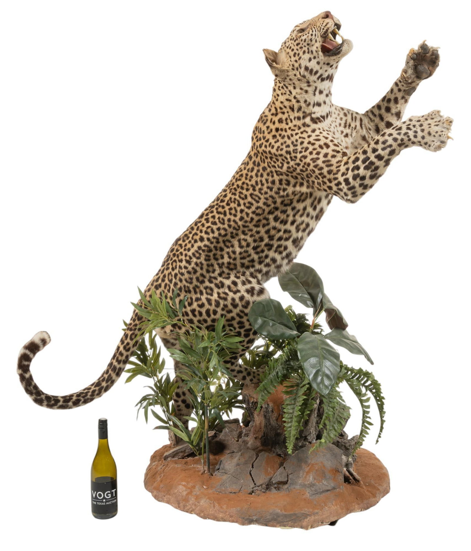 Full Body Leopard Mount - 2