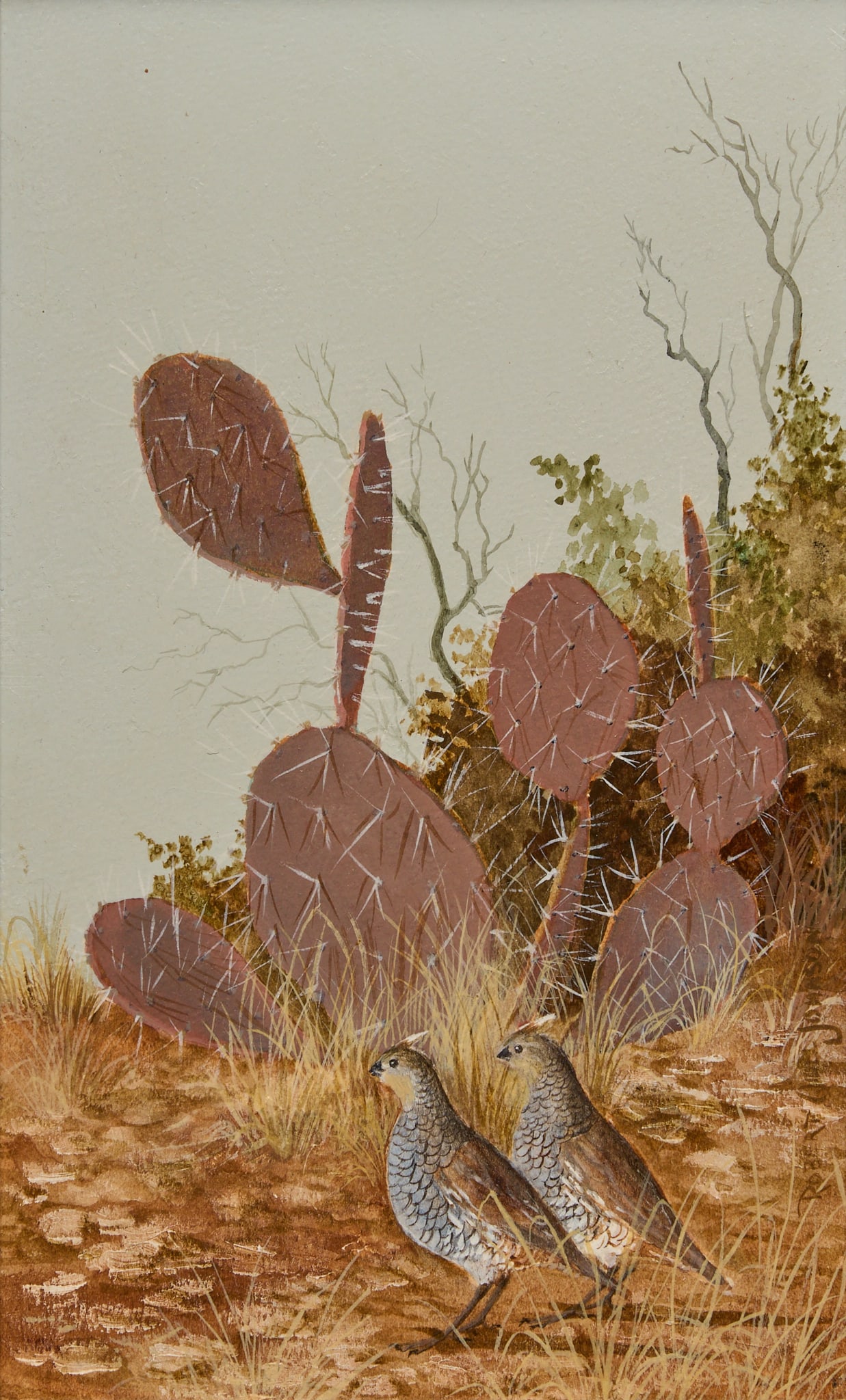 Robert Quill Johnson, Quail and Cactus: Robert Quill Johnson (Texas, 1927-1980), two blue scaled quail near purple cactus, acrylic on watercolor board, signed vertically on right side sight: 10 x 6 in., frame: 16.5 x 12 in.