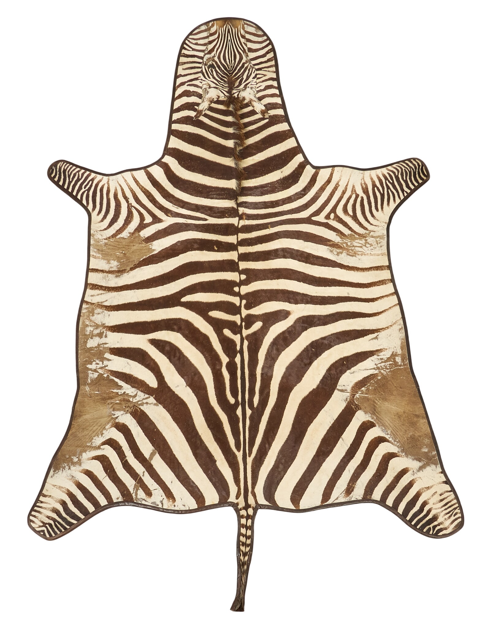 Zebra Hide Rug (1 of 3)