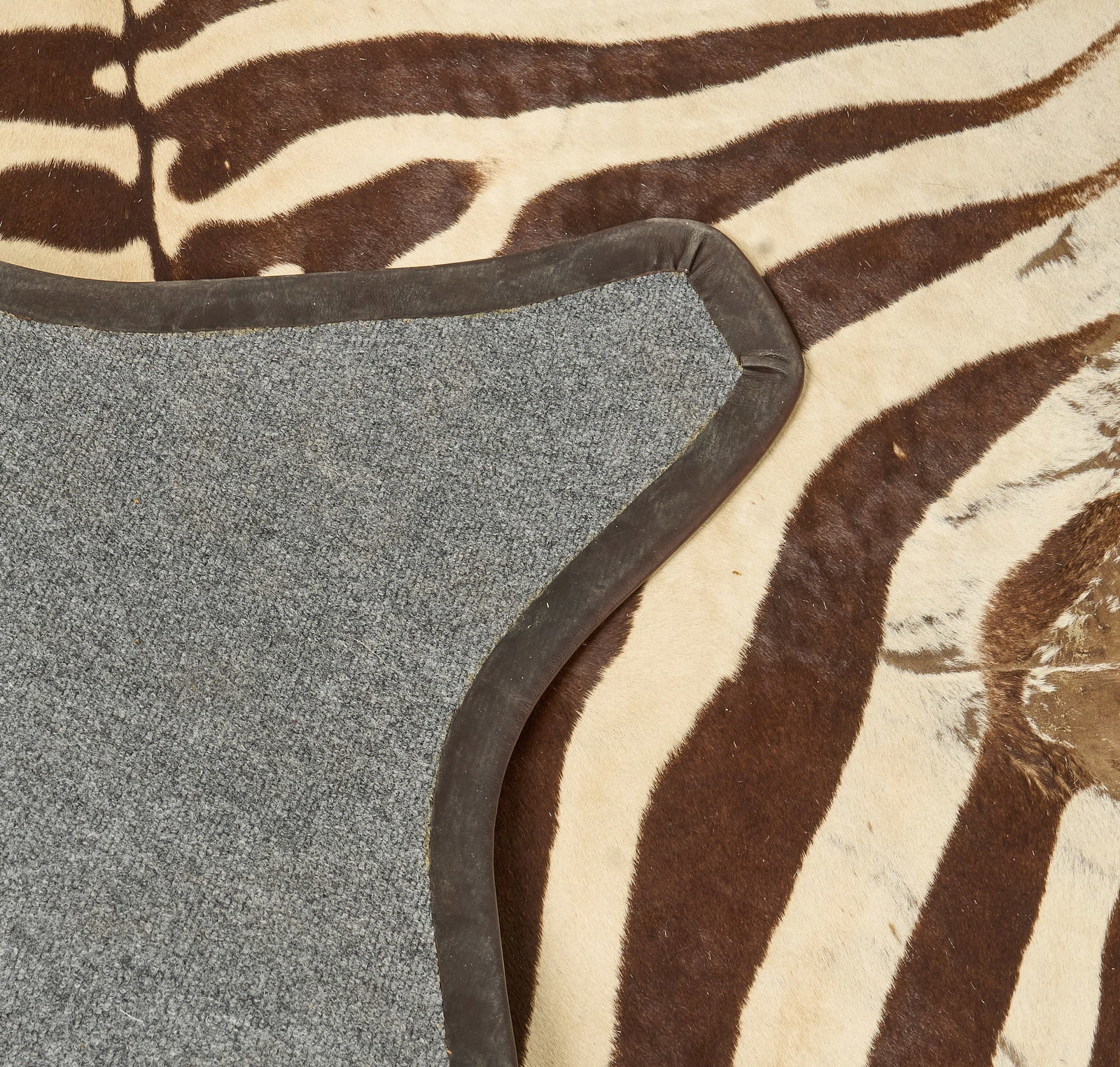 Zebra Hide Rug - 3