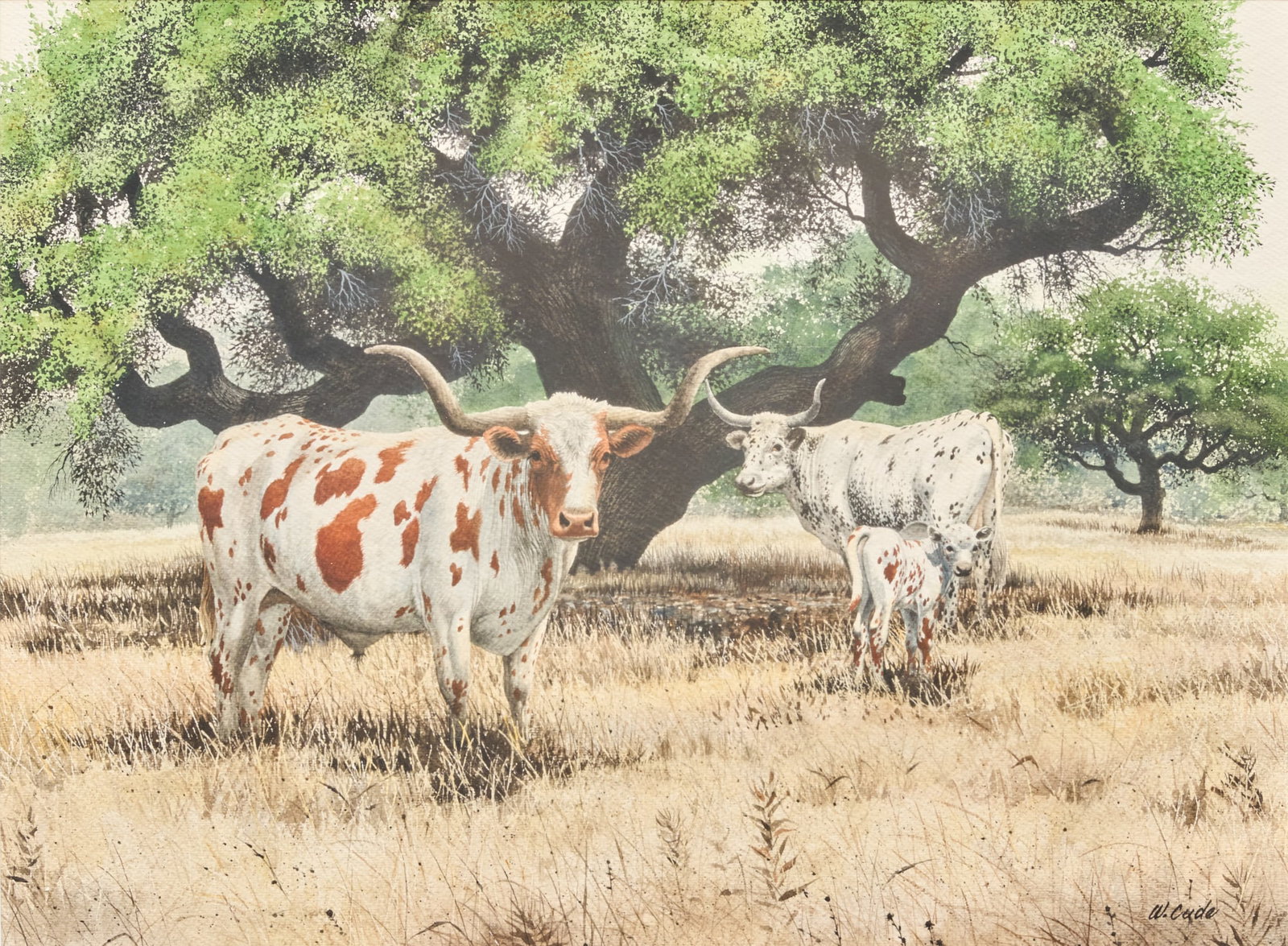Walt Cude, Longhorns in Shade: Walt Cude (Texas, b. 1933), two longhorn cattle resting in shade, watercolor on watercolor paper, signed lower right sight: 18 x 24 in., frame: 25 x 31 in. Provenance: Property from a Rockport, Texas