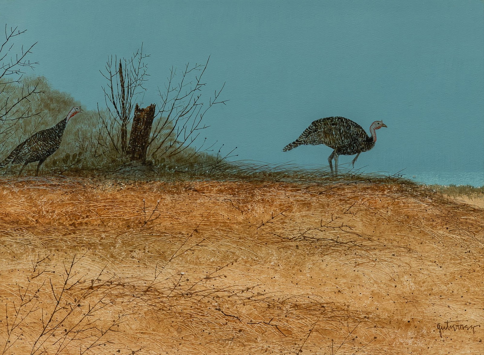 Raul Gutierrez, Turkeys on the Ridge: Raul Gutierrez (Laredo / San Antonio, Texas, b. 1935), two turkeys in Texas landscape, watercolor and gouache on illustration board, signed lower right sight: 12 x 16 in., frame: 19.5 x 23.5
