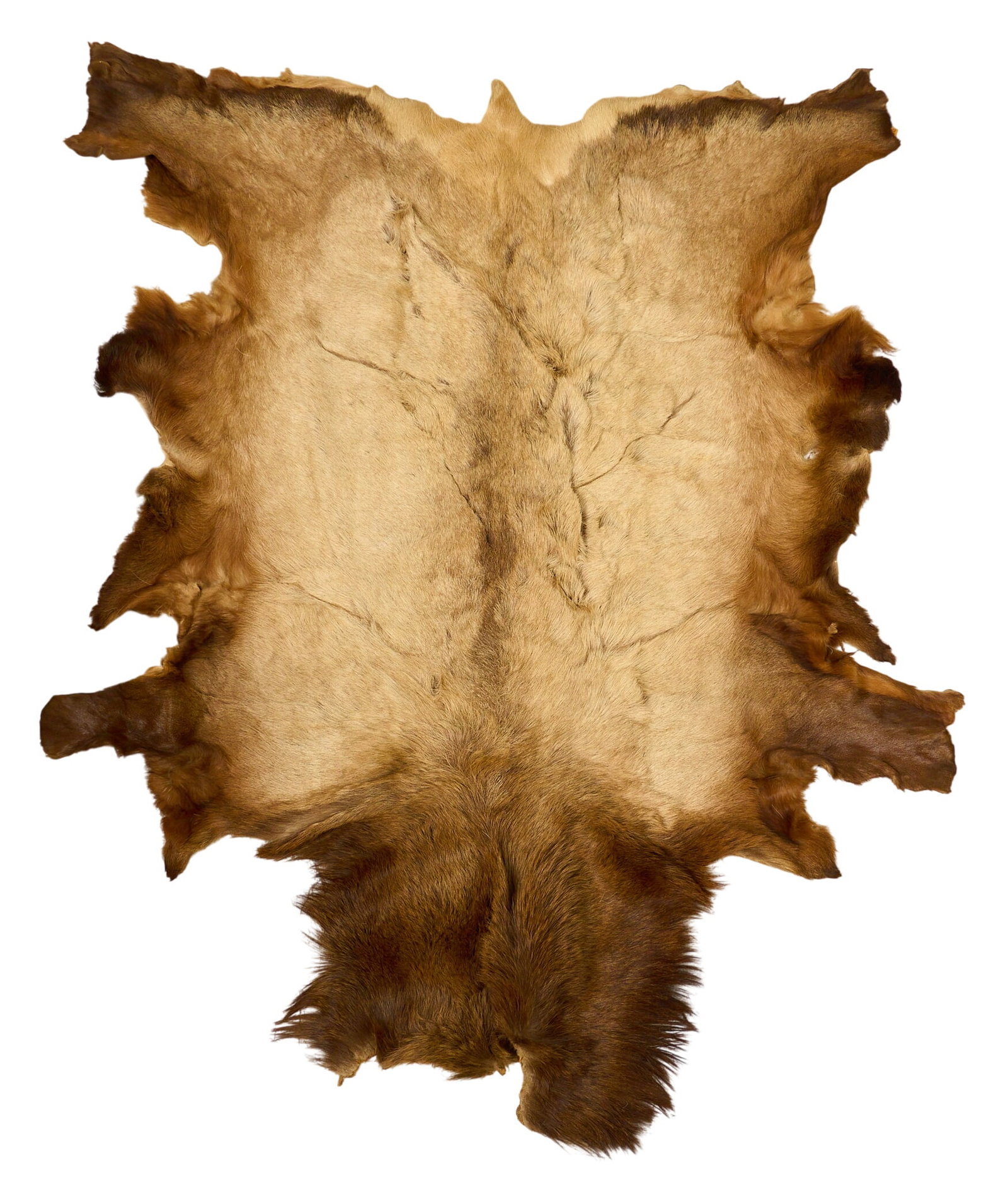 Elk Hide Rug, 6 ft. 7 in. x 5 ft. 5 in.: Elk hide rug, with suede back lining 6 ft. 7 in. x 5 ft. 5 in. Provenance: Property from a home in San Antonio, Texas 