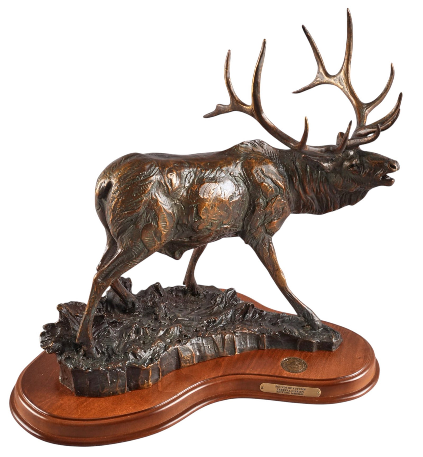 Terrell O'Brien, "Sounds of Autumn": Terrell O'Brien, "Sounds of Autumn", bronze sculpture, ed. 1640/2600 height 16 in. x width 16.5 in. x depth 9 in. Provenance: Property from a Boerne, Texas collection 