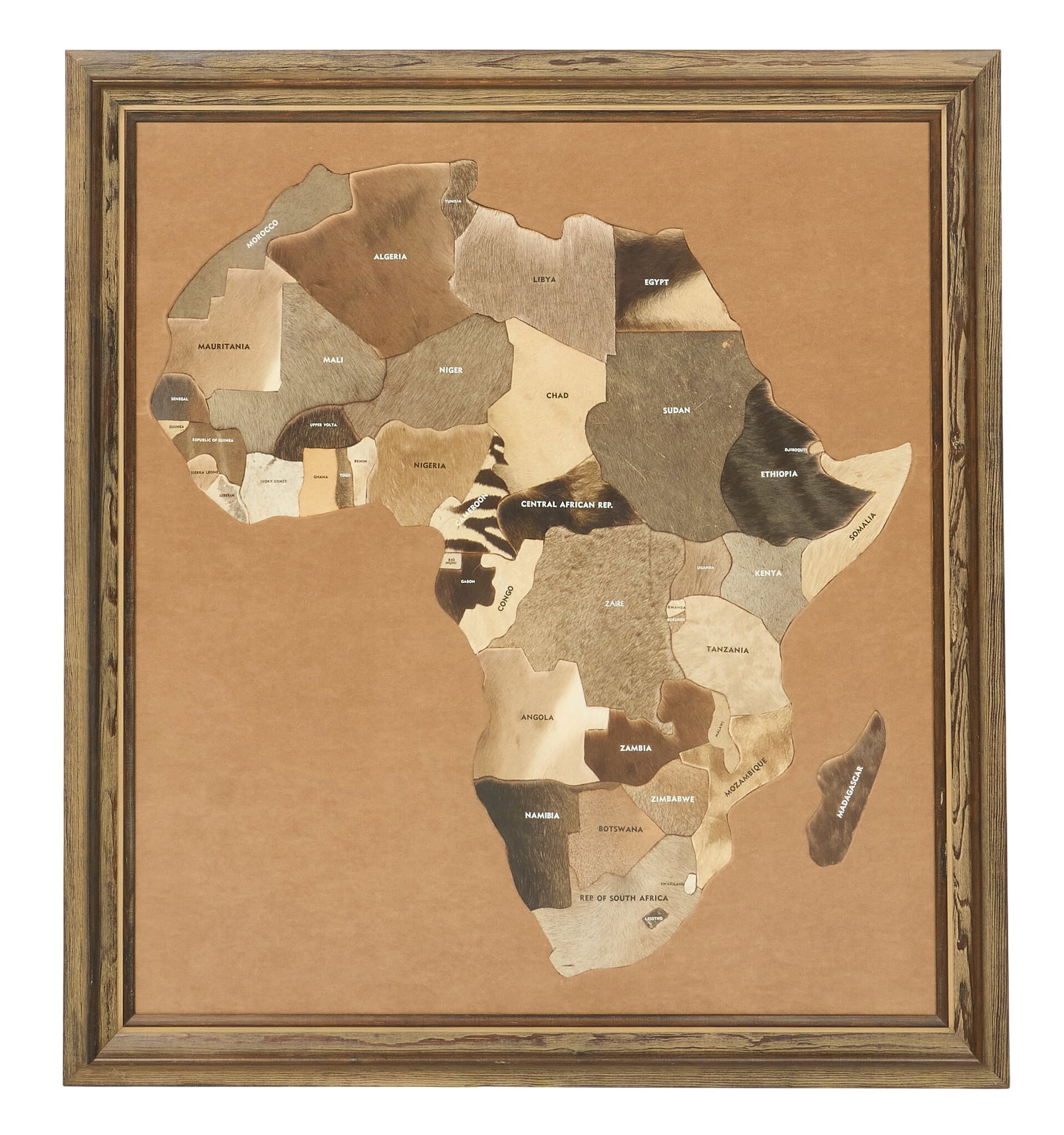 Framed Hide African Map (1 of 4)