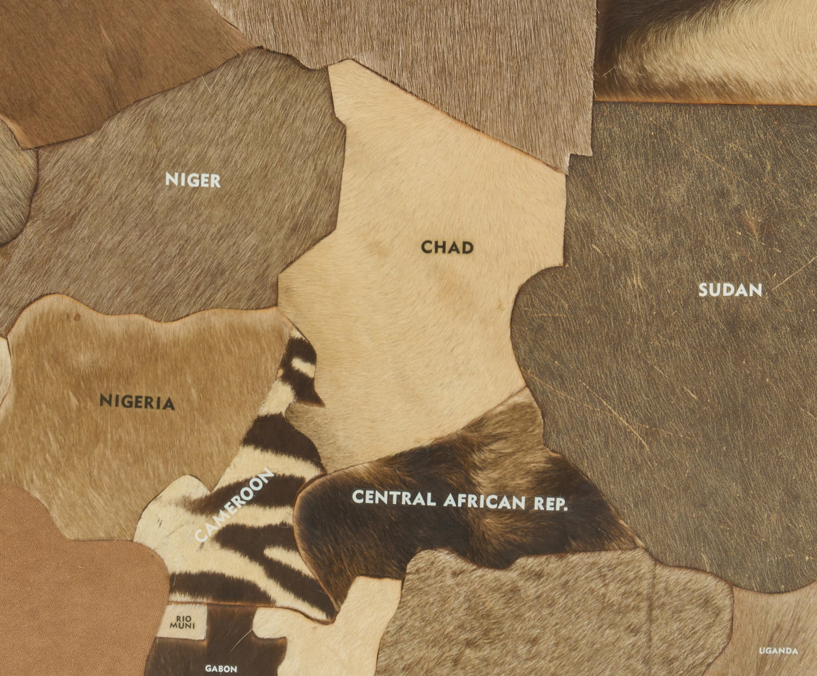 Framed Hide African Map - 3