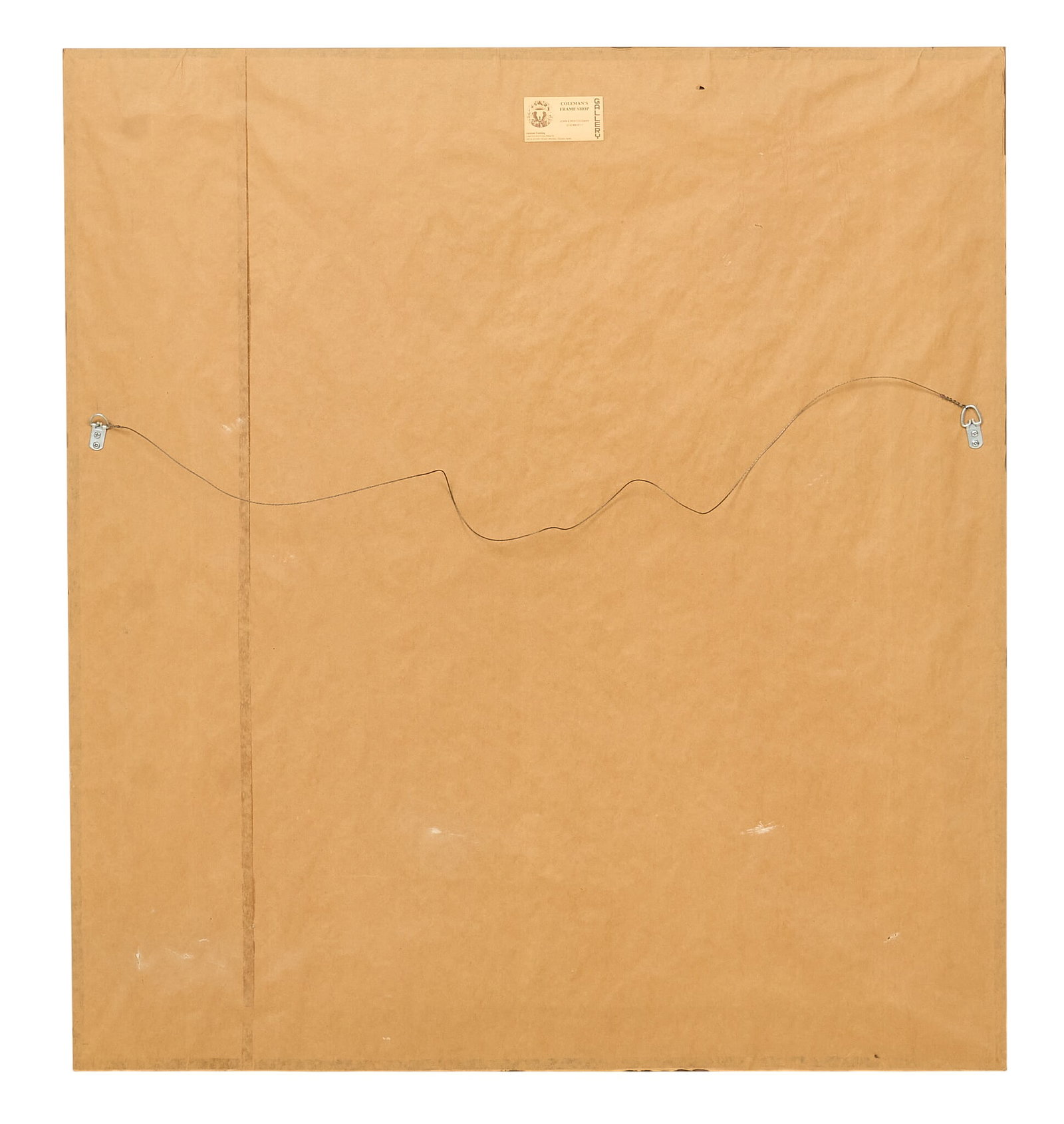 Framed Hide African Map - 4