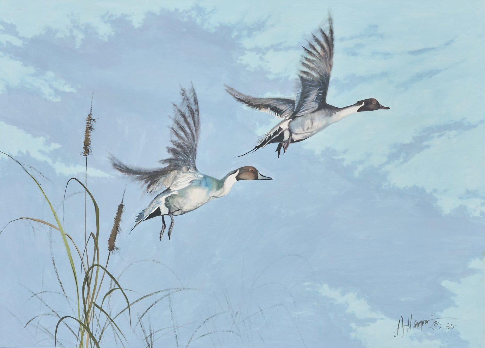 Armando Hinojosa, Ducks in Flight: Armando Hinojosa (Texas, b. 1944), two pintail ducks in flight, acrylic on Crescent illustration board, signed and dated lower right, 1985 sight: 26 x 35 in., frame: 35 x 44 in. Provenance: Property