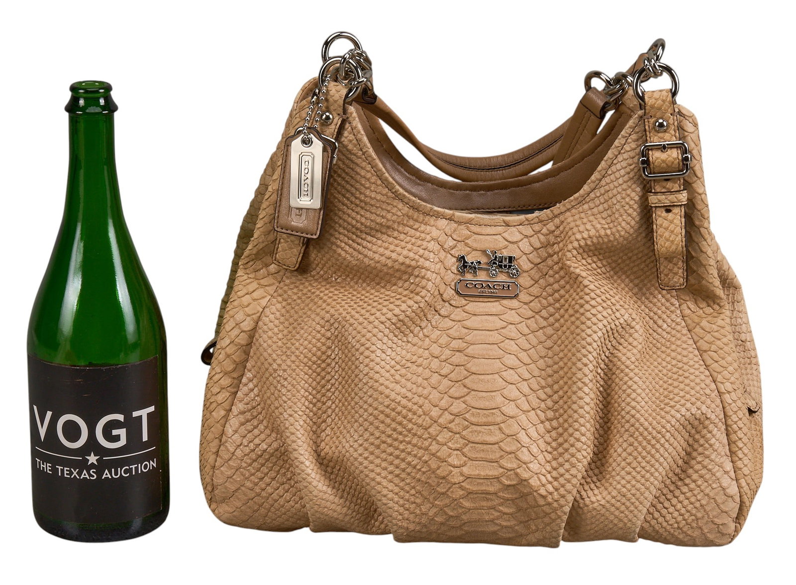 Coach Python Embossed Bag - 2