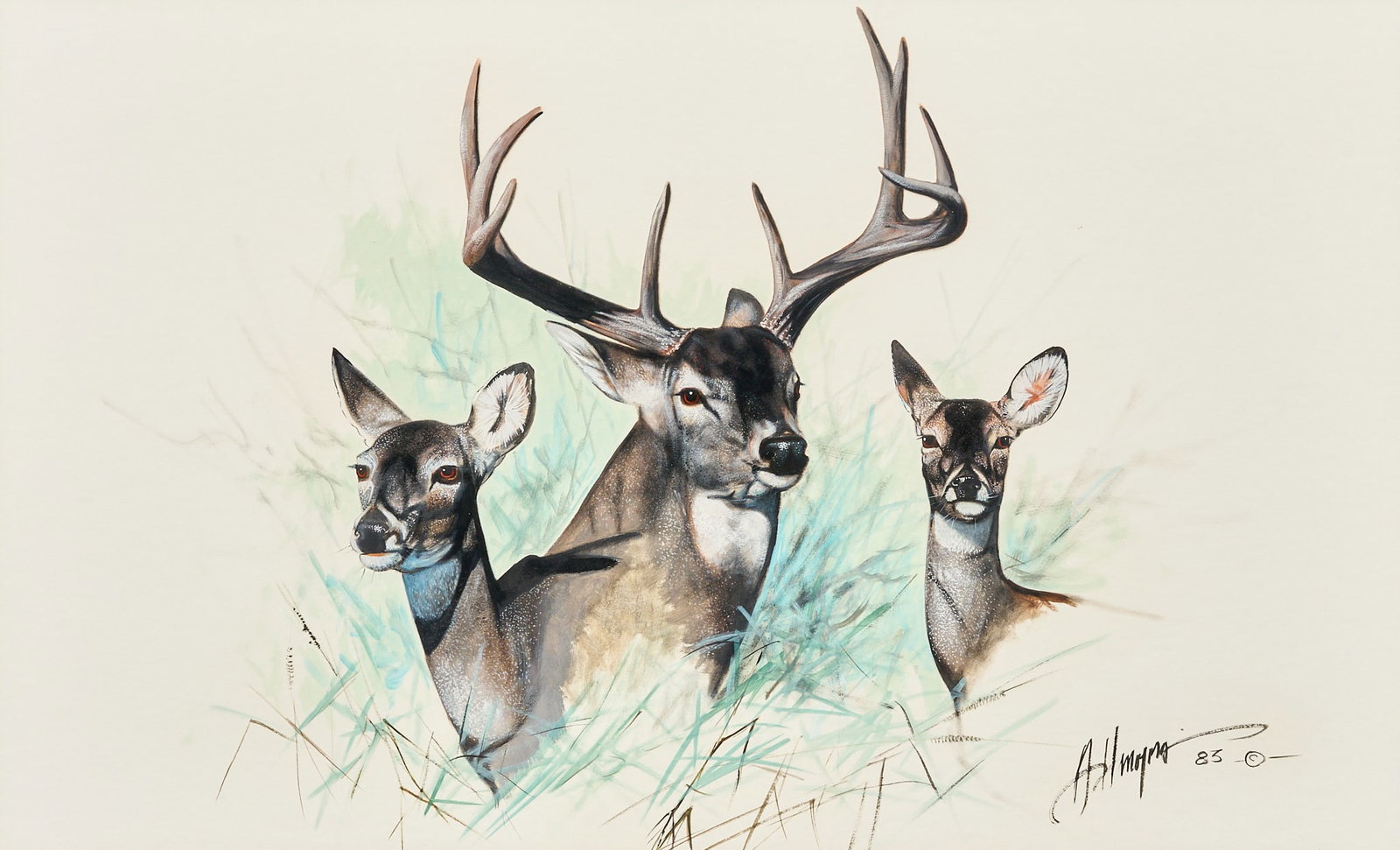 Armando Hinojosa, Deer Trio: Armando Hinojosa (Texas, b. 1944), deer study, gouache on watercolor board, signed and dated lower right, 1983 sight: 20 x 32 in., frame: 31.5 x 43.5 in. Provenance: Property from a home in