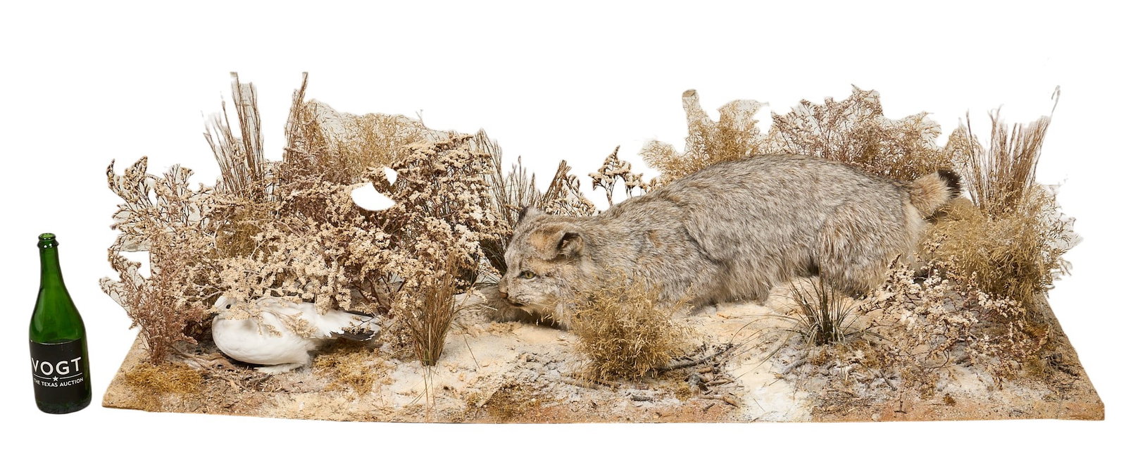 Bobcat Diorama - 3