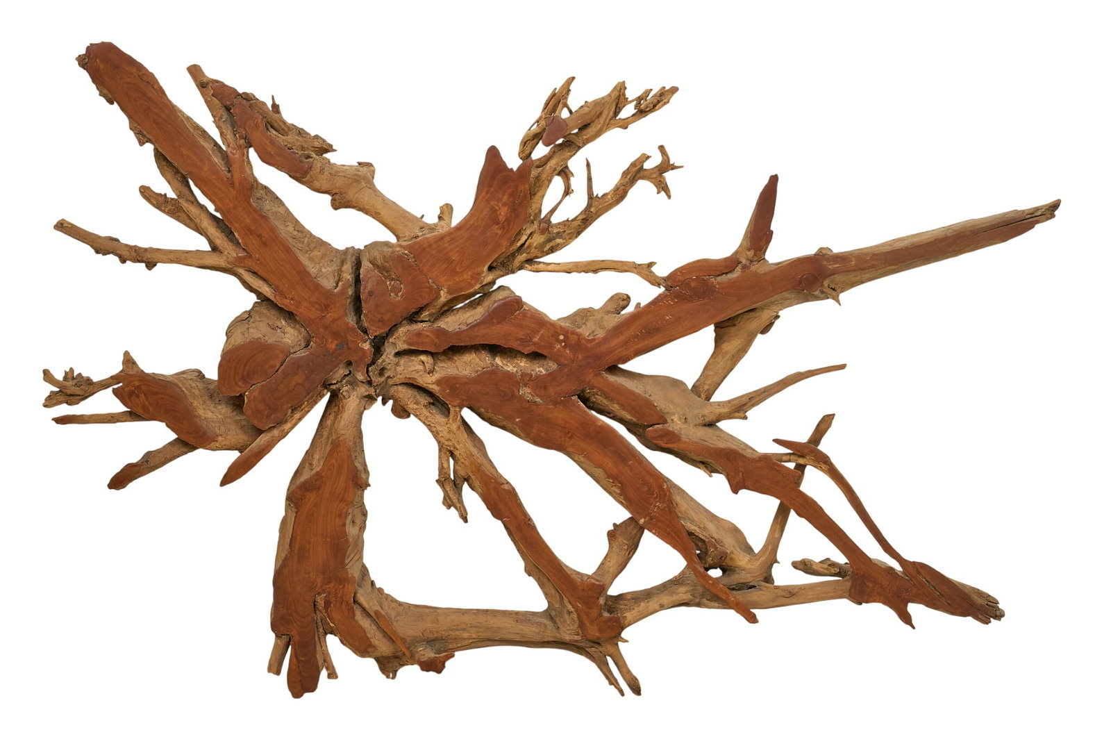 Live Edge Wall Sculpture (1 of 3)