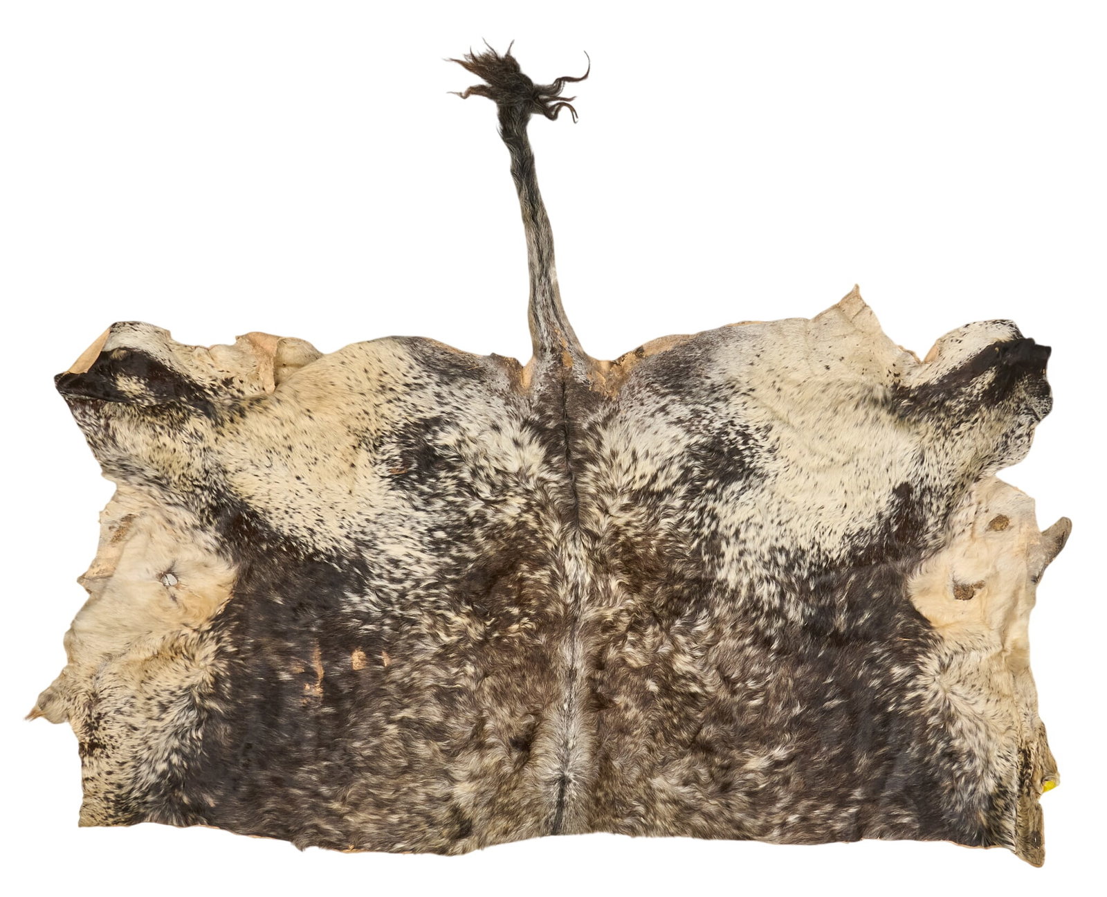 Cow Hide Rug, 7 ft. 2 in. x 5 ft. 10 in. (1 of 5)