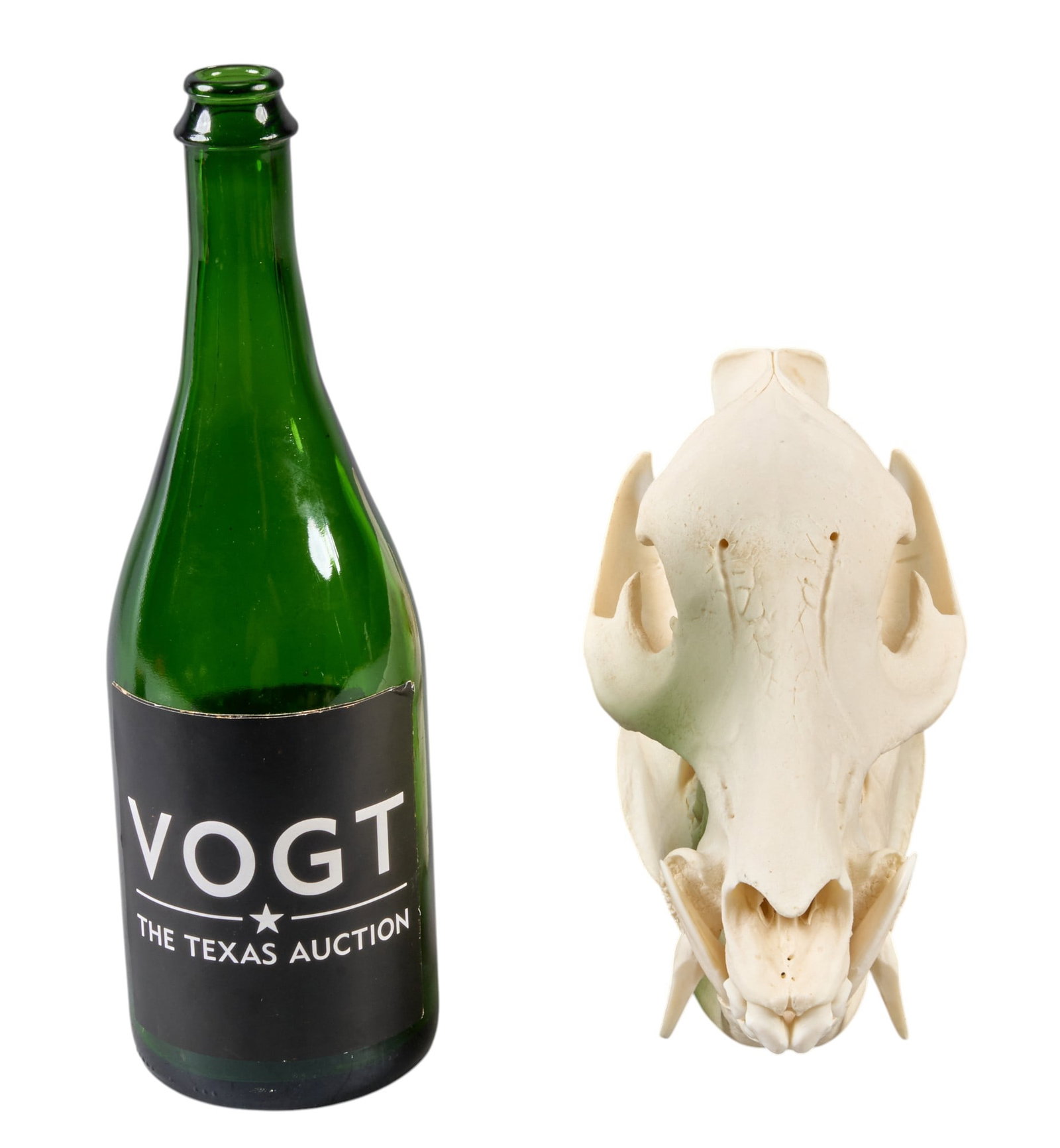 Wild Hog Skull - 2