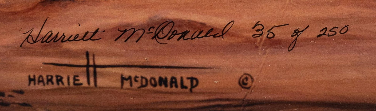 (2) Texas Wall Decor - 3