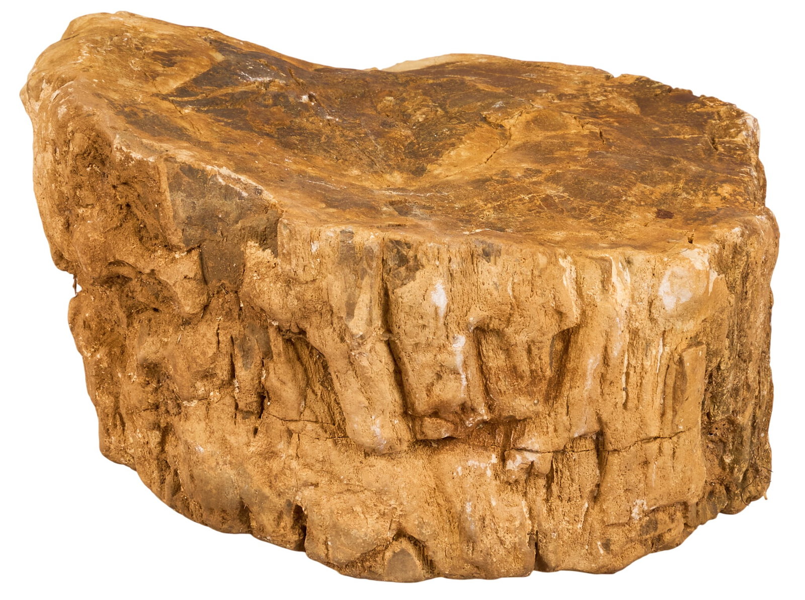 Large Petrified Wood Piece: Large piece of petrified wood height 9 in. x width 5.5 in. x depth 9 in. Provenance: Property from a home in McMullen County, Texas 