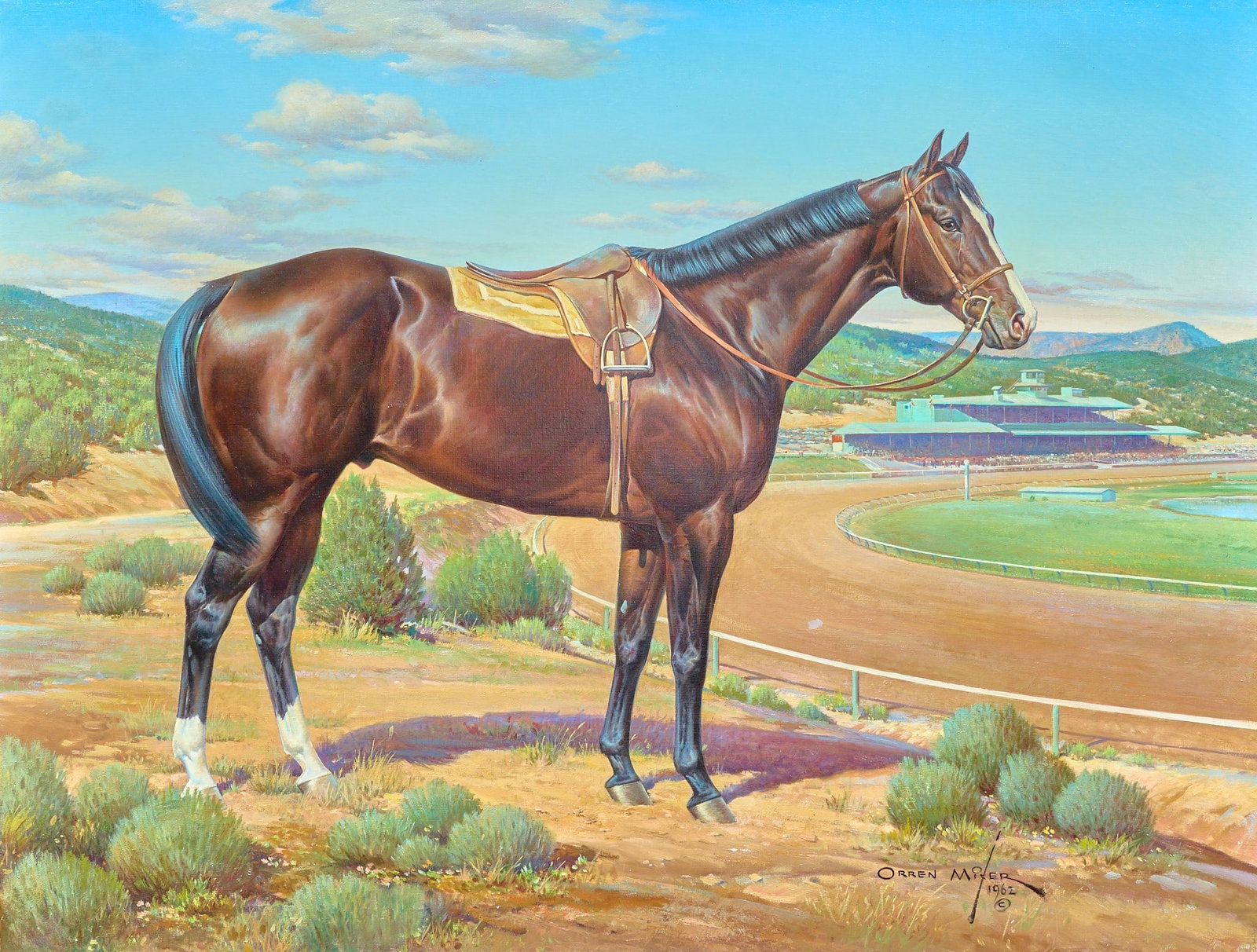 Orren Mixer, Racehorse Portrait (1 of 5)