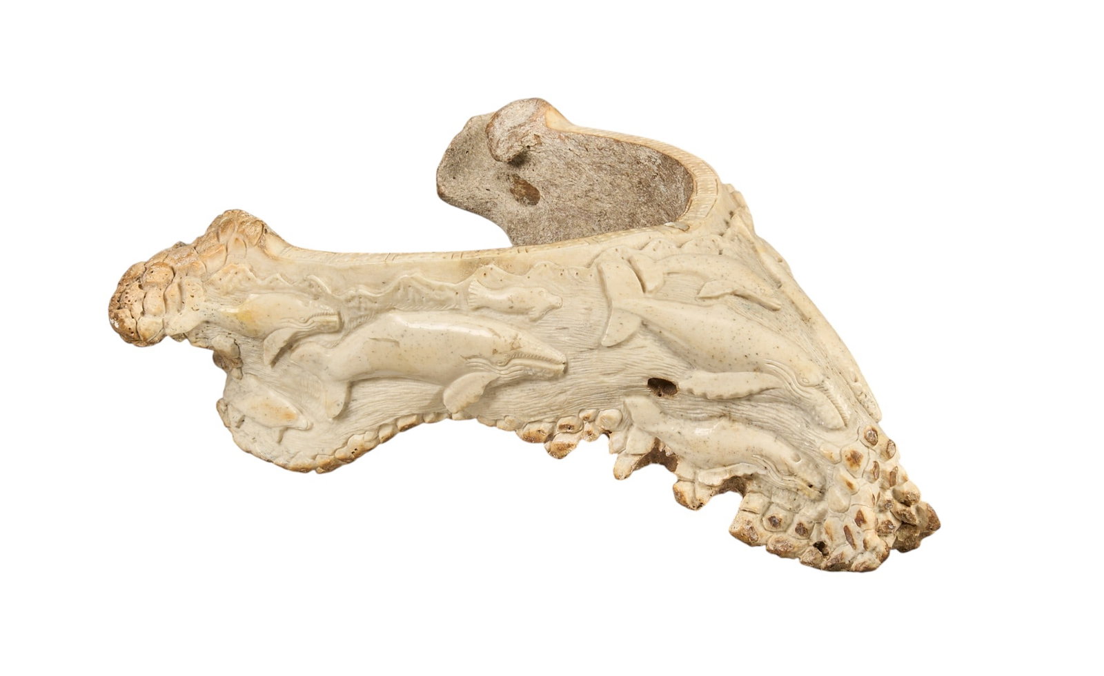 Red McCombs | Scrimshaw Jaw Bone (1 of 7)