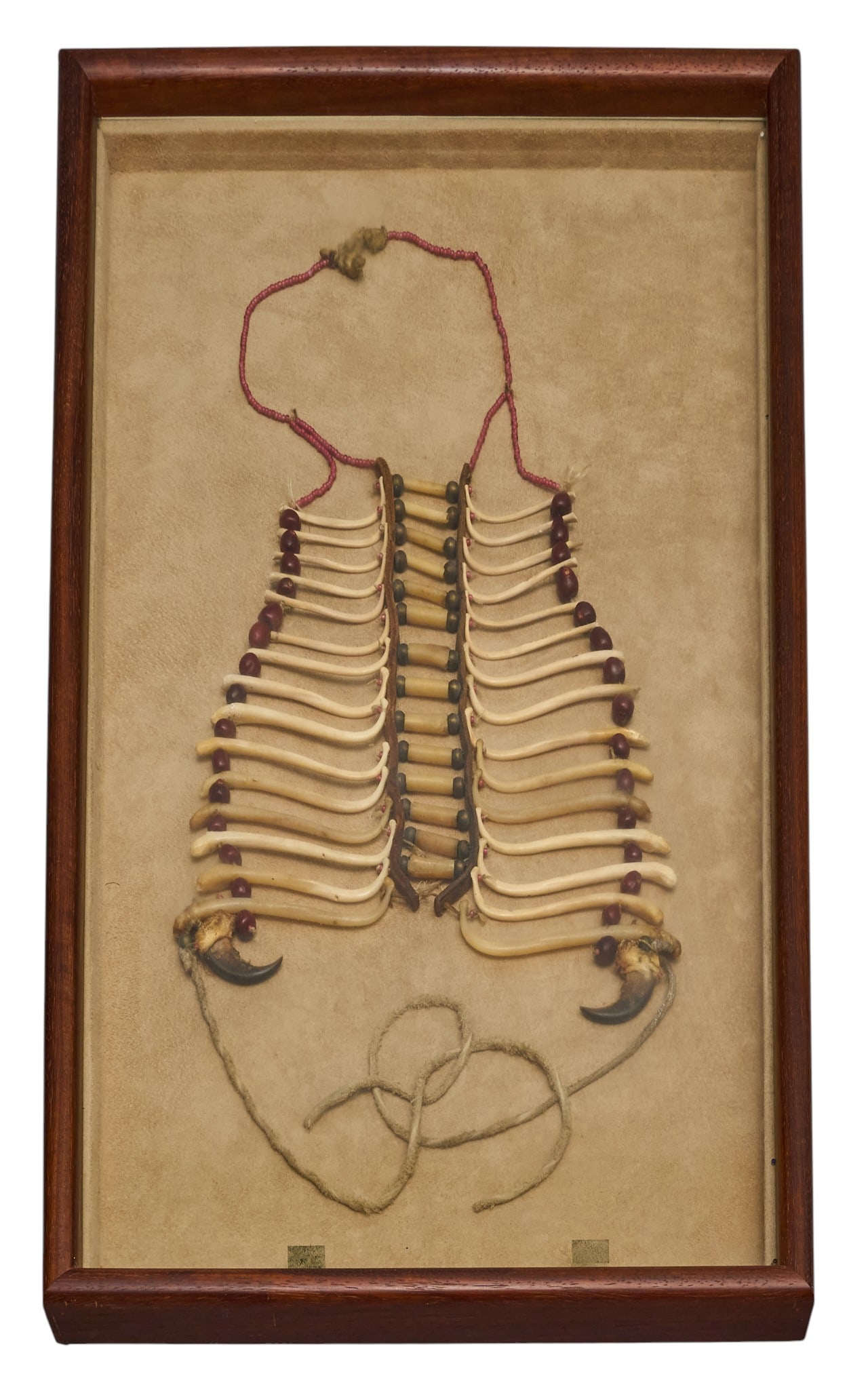 Red McCombs | Framed Sioux Bone Necklace: Framed Sioux bone breastplate decorated with laurel berries, and animal claws, presented in wooden shadowbox height 26 in. x width 15 in. x depth 15 in. Provenance: Property from the p