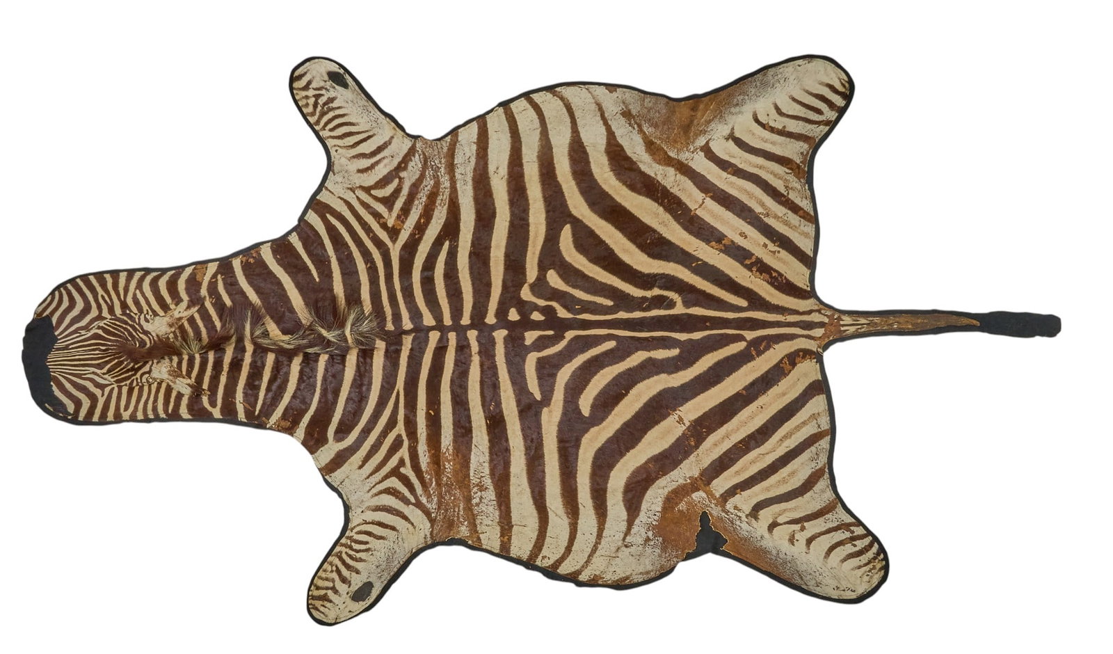 Red McCombs | Zebra Hide Rug (1 of 2)