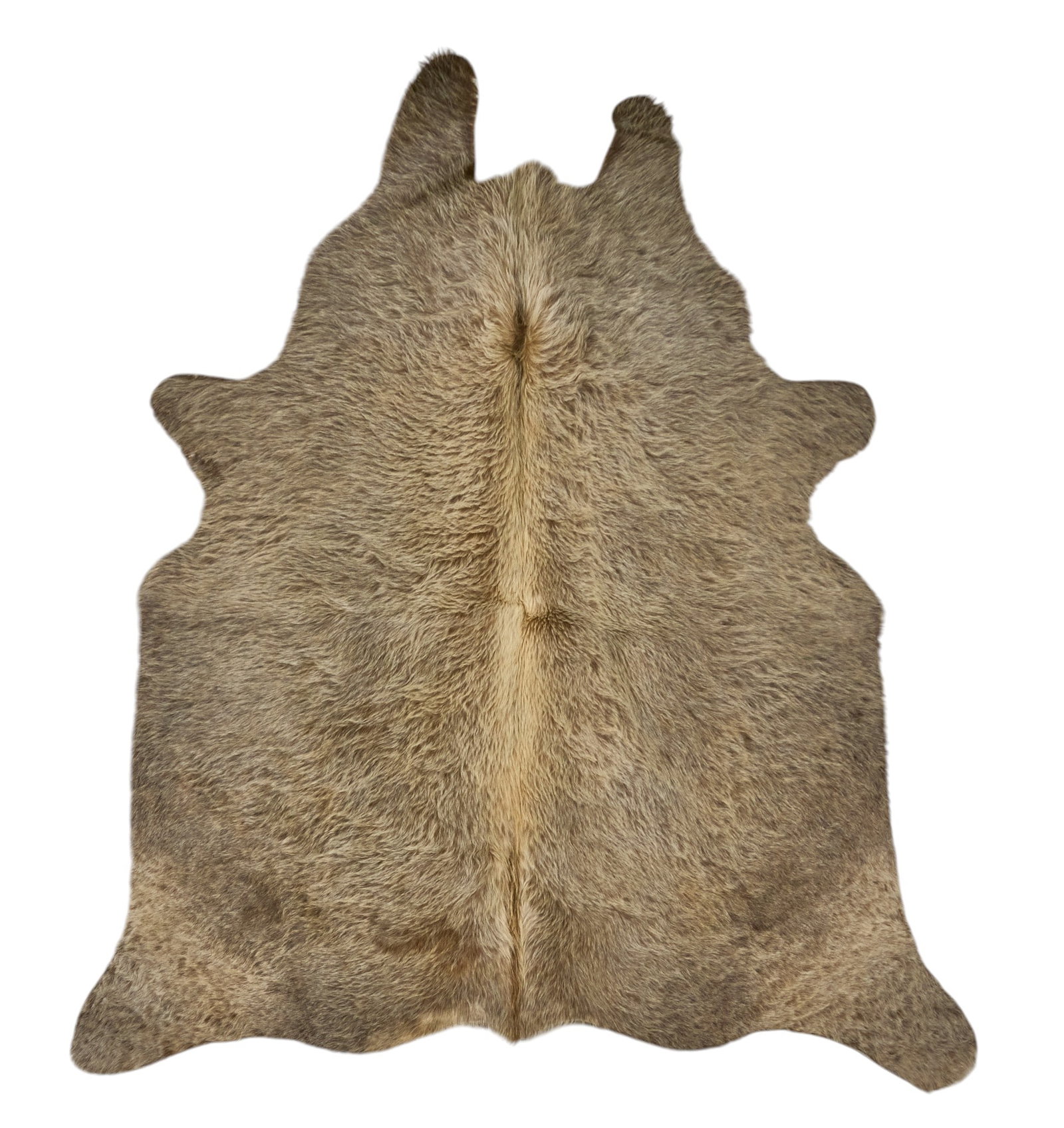 Red McCombs | Cowhide, 4 ft. 10 in. x 4 ft. 4 in.: Cowhide 4 ft. 10 in. x 4 ft. 4 in. Provenance: Property from the personal estate collection of iconic Texas businessman, civic leader and philanthropist Billy Joe Red McCombs (1927-2023) from hi