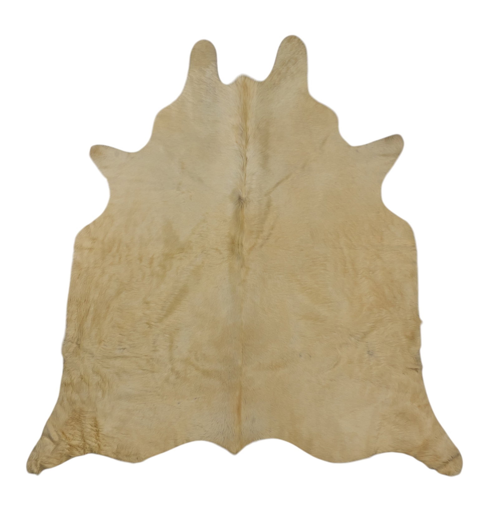 Red McCombs | Cowhide, 5 ft. 8 in. x 5 ft. 3 in.: Cowhide 5 ft. 8 in. x 5 ft. 3 in. Provenance: Property from the personal estate collection of iconic Texas businessman, civic leader and philanthropist Billy Joe Red McCombs (1927-2023) from