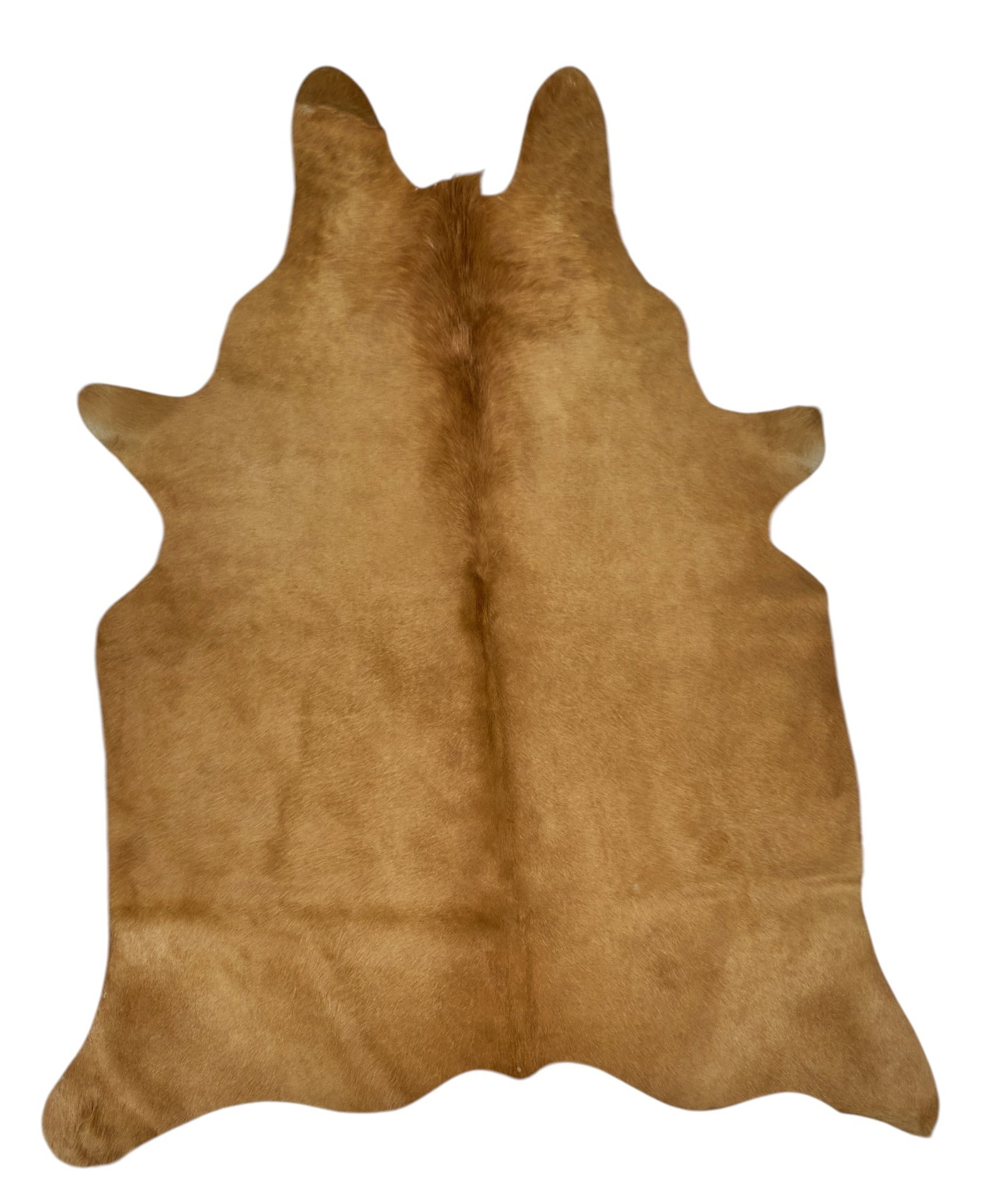 Red McCombs | Cowhide 5 ft. 3 in. x 4 ft. 5 in.: Cowhide 5 ft. 3 in. x 4 ft. 5 in. Provenance: Property from the personal estate collection of iconic Texas businessman, civic leader and philanthropist Billy Joe Red McCombs (1927-2023) from his home 