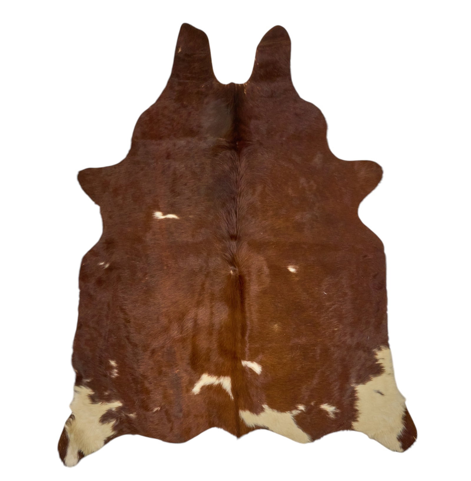 Red McCombs | Cowhide, 5 ft. 5 in. x 4 ft. 5 in.: Cowhide 5 ft. 5 in. x 4 ft. 5 in. Provenance: Property from the personal estate collection of iconic Texas businessman, civic leader and philanthropist Billy Joe Red McCombs (1927-2023) from