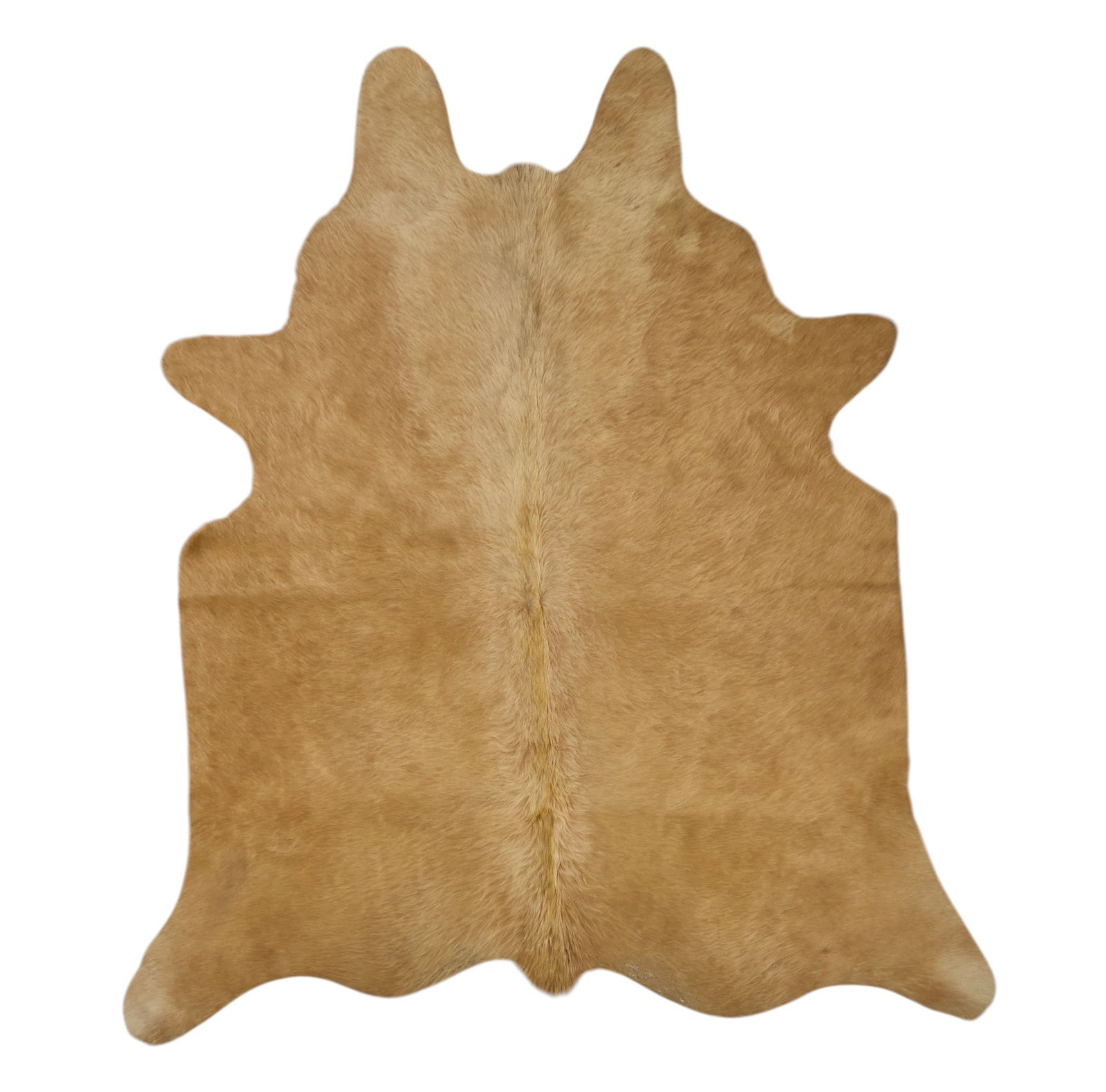 Red McCombs | Cowhide, 4 ft. 4 in. x 4 ft.: Cowhide 4 ft. 4 in. x 4 ft. Provenance: Property from the personal estate collection of iconic Texas businessman, civic leader and philanthropist Billy Joe Red McCombs (1927-2023) from his home