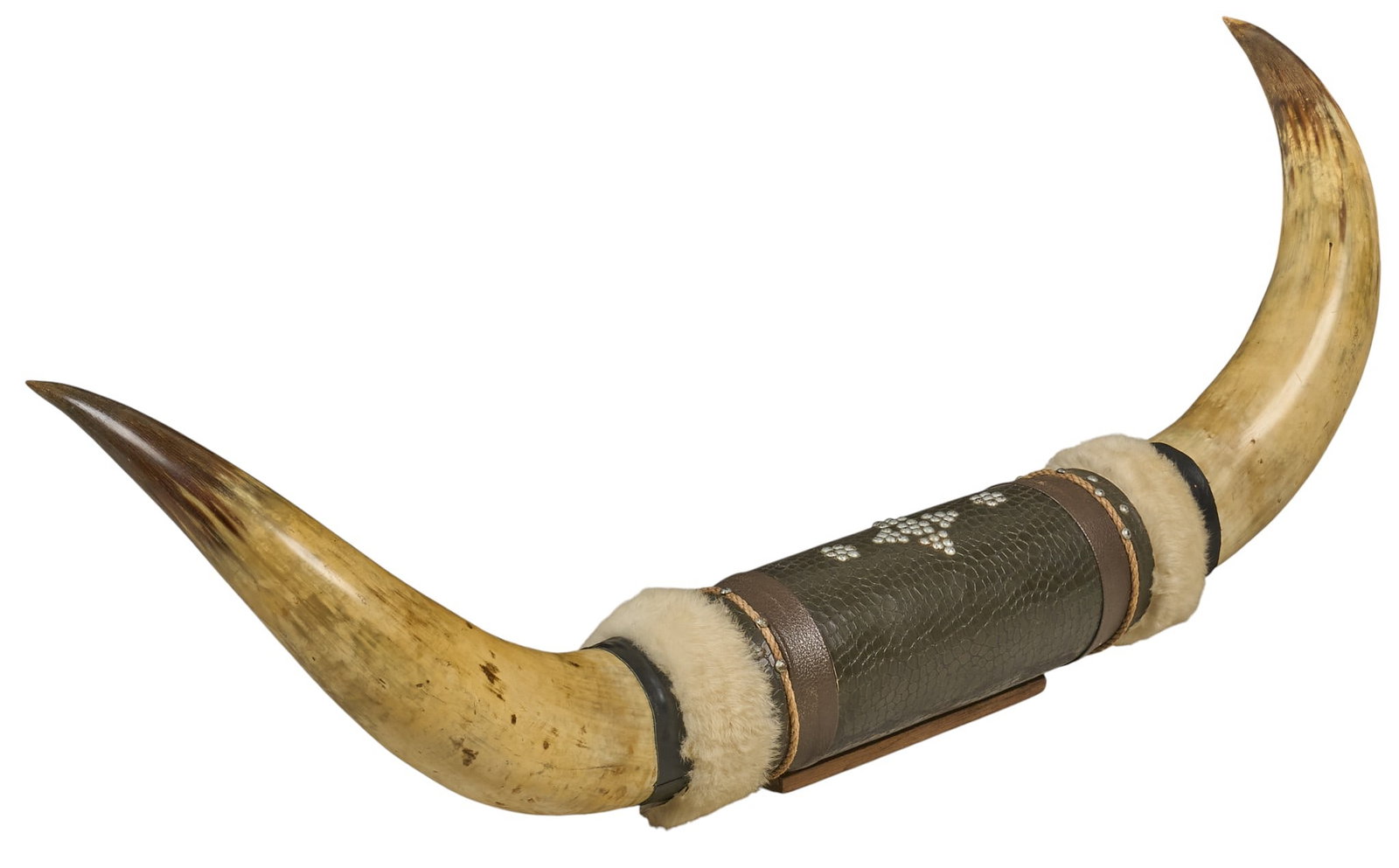 Large Longhorn Mount (1 of 6)