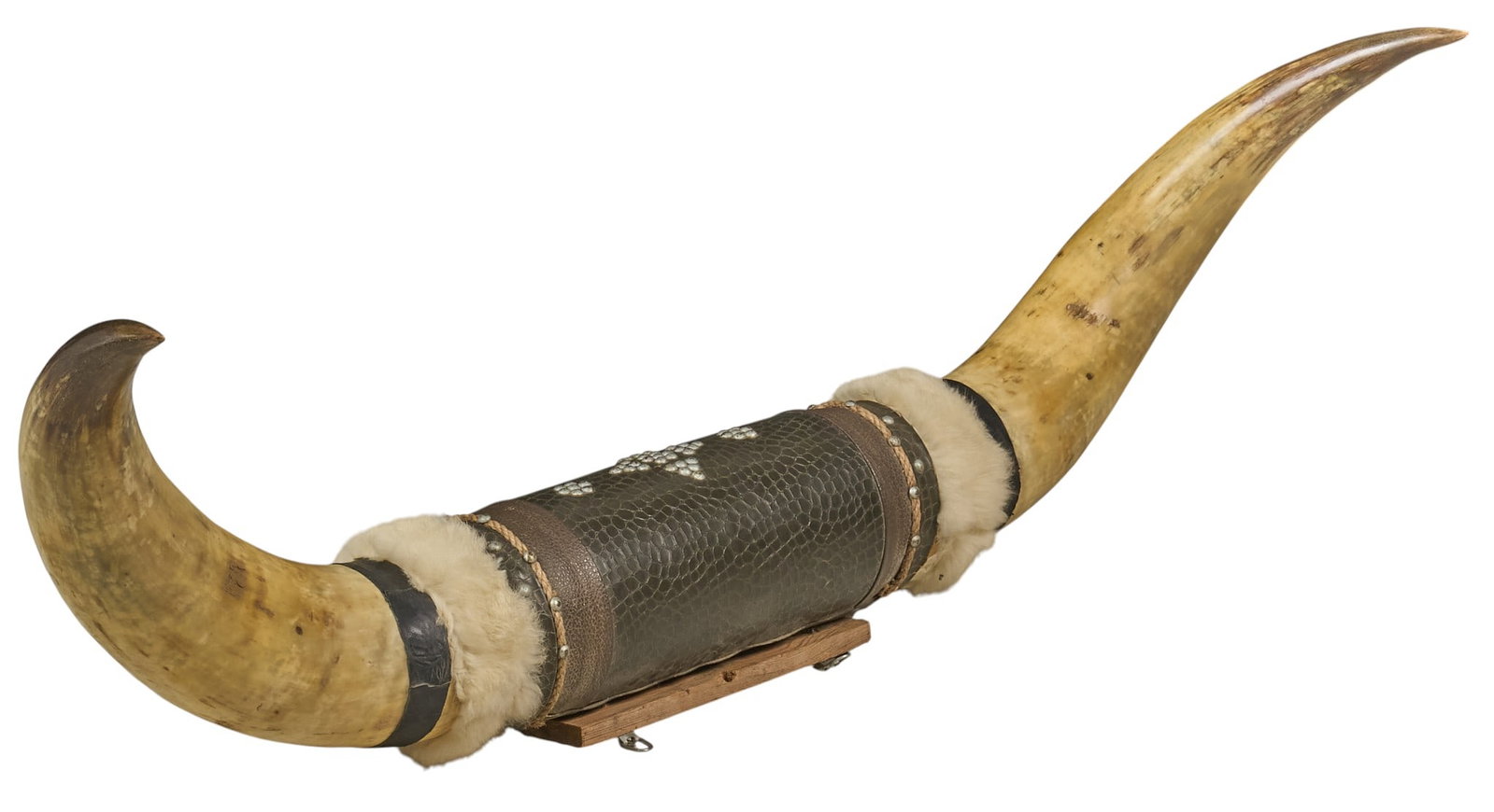Large Longhorn Mount - 4