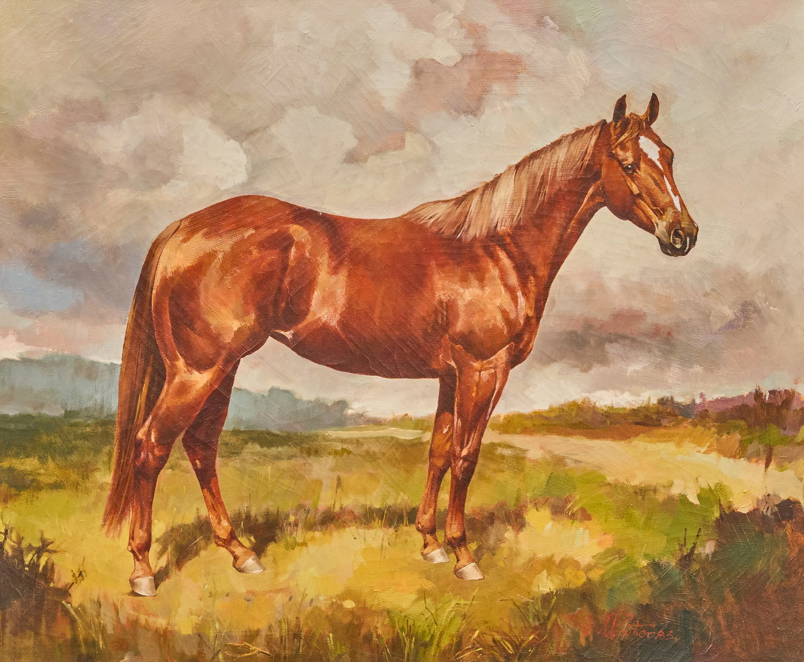 Andre Pater, "Jesse's Glow": Andre Pater (Poland / Kentucky, b. 1953), portrait of quarter horse Jesse's Glow, oil on canvas, signed and dated lower right, 1983 sight: 20 x 24 in., frame: 27.5 x 31.5 in. Provenance: