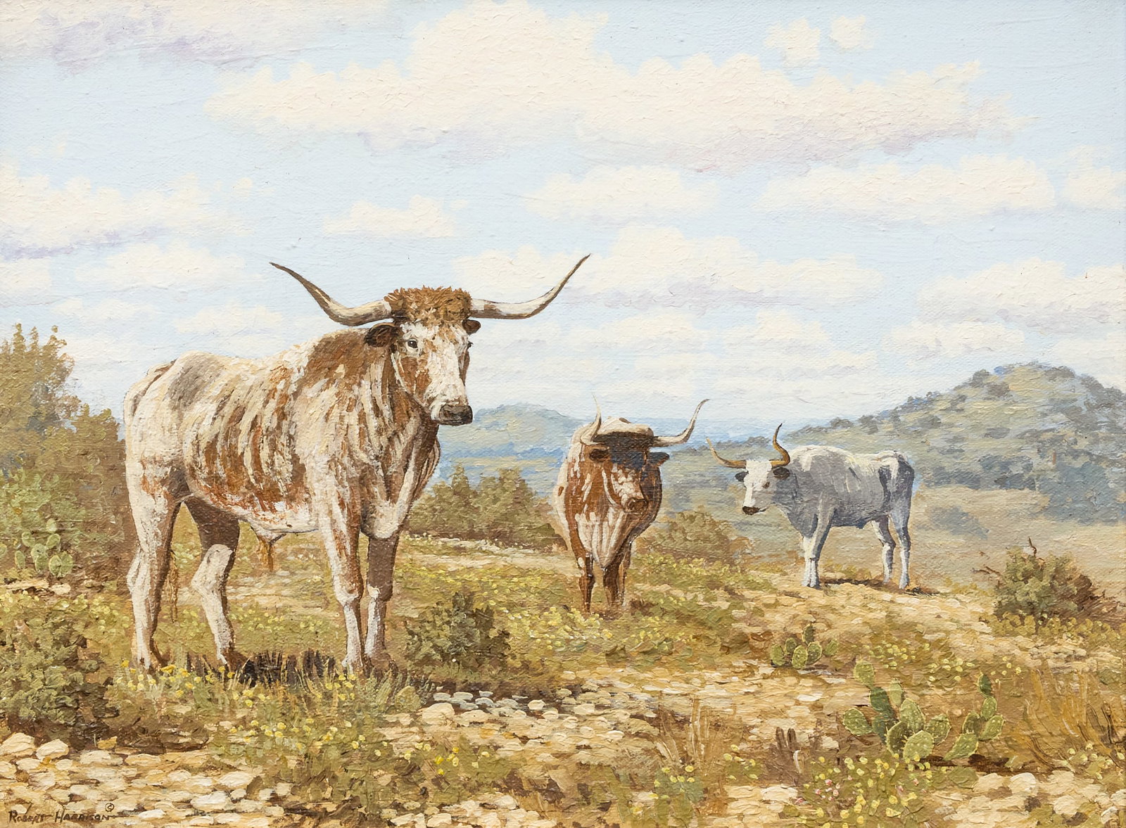 Robert Harrison, Longhorn Cattle: Robert Harrison (Texas, b. 1949), longhorn cattle in a field with cactus, oil on canvas, signed lower left sight: 12 x 16 in., frame: 21 x 24 in. Provenance: Property from a home in Purvis, Missi