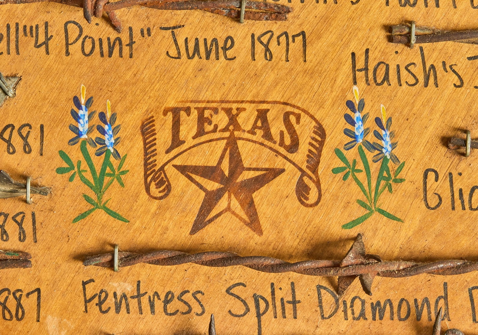 Texas Barbed Wire Display - 2