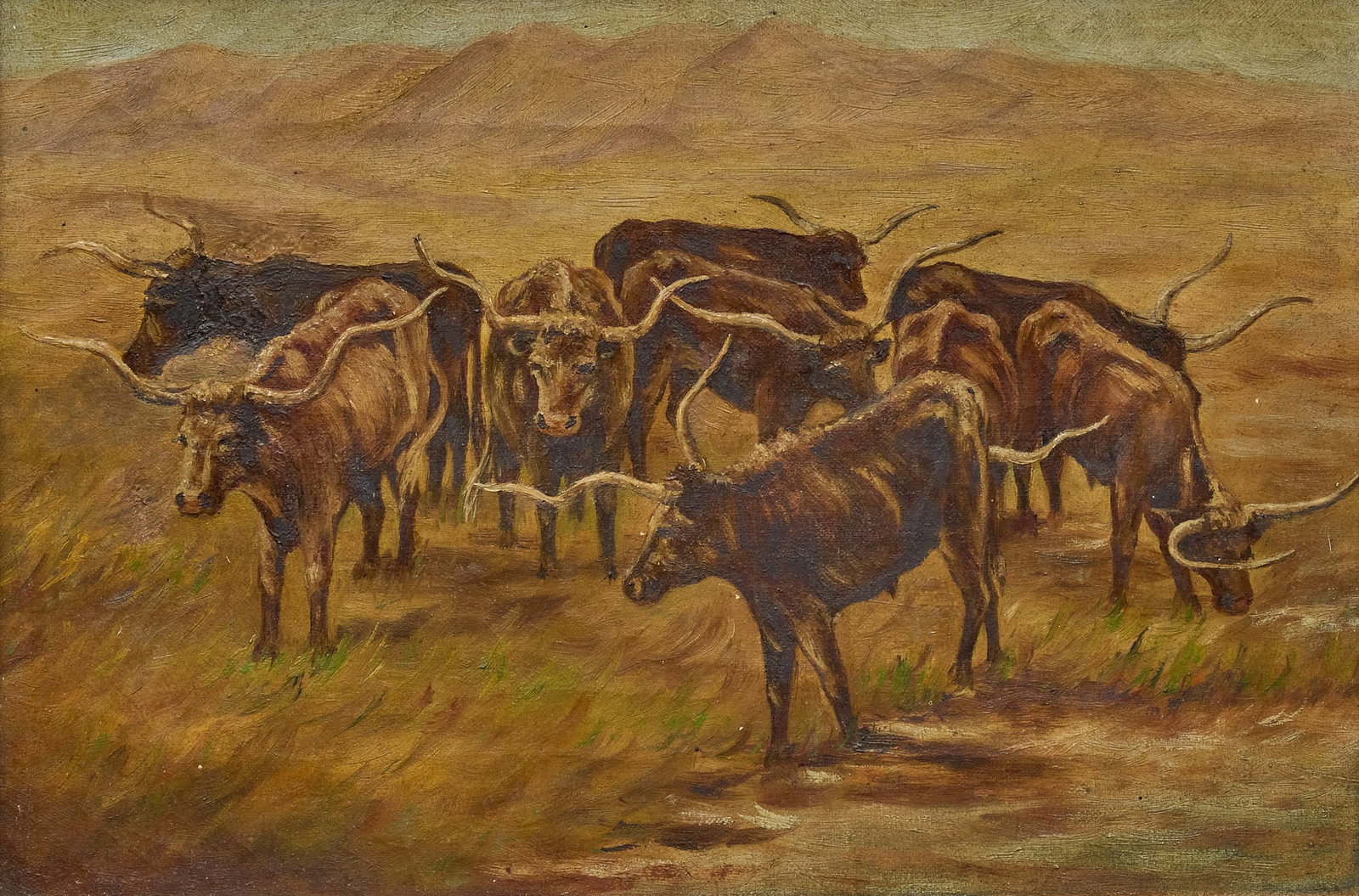 Early Longhorns Painting: Early painting of herd of longhorns in landscape, oil on canvas, appears not signed, craquelure commensurate with age, and an old patch repair sight: 10 x 15 in., frame: 14 x 19.5 in. Proven