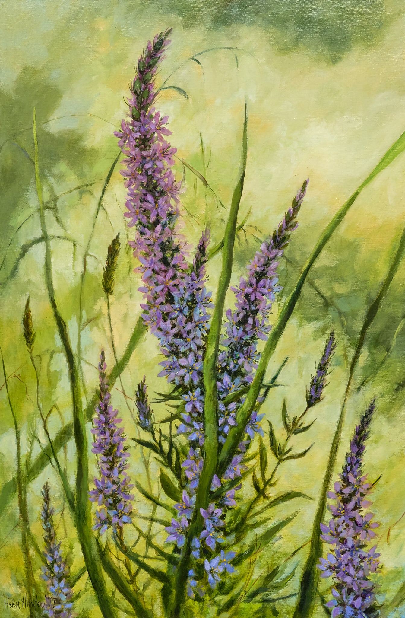 Helen Hunter, Purple Flowers: Helen Hunter (Texas, 1920-2003), close study of purple veronica (Garden speedwell) flowers, oil on canvas, signed and dated lower left, 1977 sight: 36 x 24 in., frame: 42.5 x 31.5 in.
