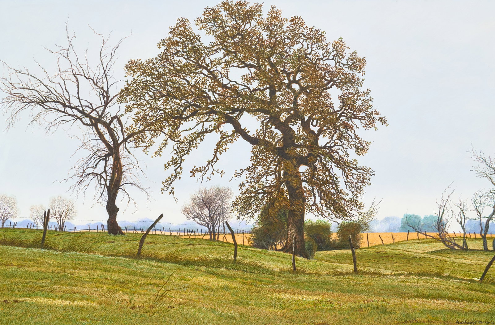 Anthony Martin, "Oak Tree": Anthony Martin (Texas, 1941-2019), "Oak Tree", oil on masonite, signed and dated lower right, 1973 sight: 20 x 30 in., frame: 29.5 x 40 in. Provenance: Property from the estate of