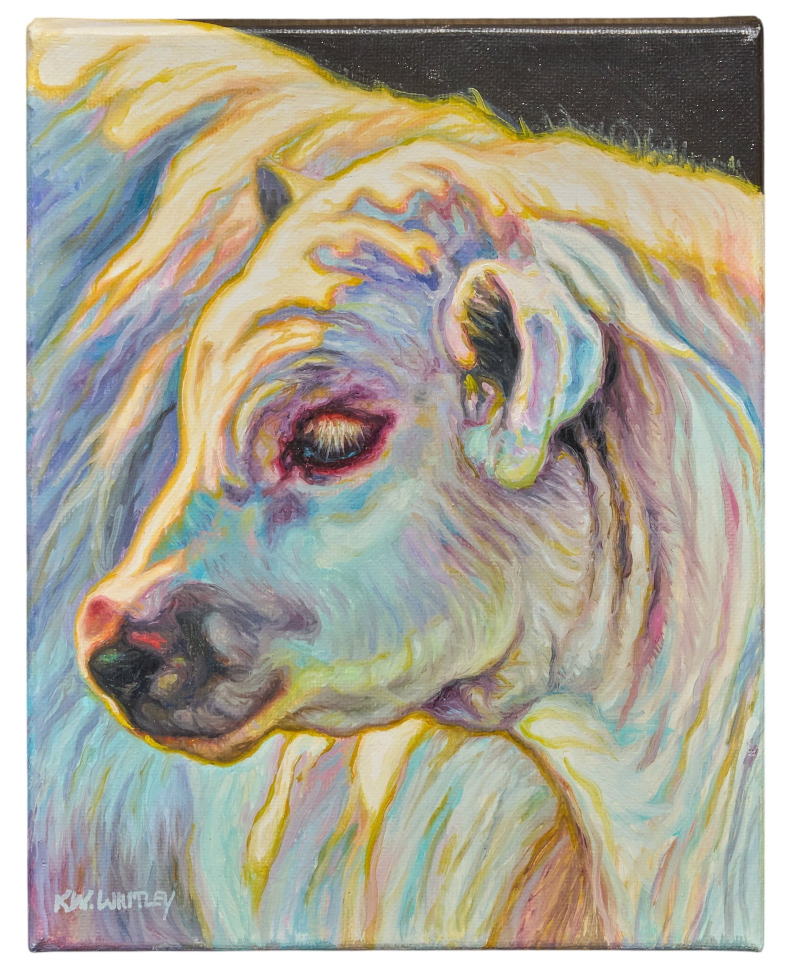 Kathy Whitley, White Calf: Kathy White Whitley (Amer., 20th-21st C.), portrait of a white calf, acrylic on canvas, signed lower left, dated on the verso, 2016 size: 10 x 8 in. Provenance: Property from a San Antonio, Texas