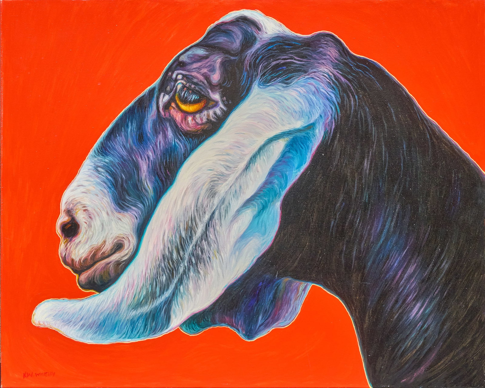 Kathy Whitley, Black and White Goat: Kathy White Whitley (Amer., 20th-21st C.), portrait of a black and white goat, acrylic on canvas, signed lower left size: 24 x 30 in. Provenance: Property from a San Antonio, Texas antiques collector